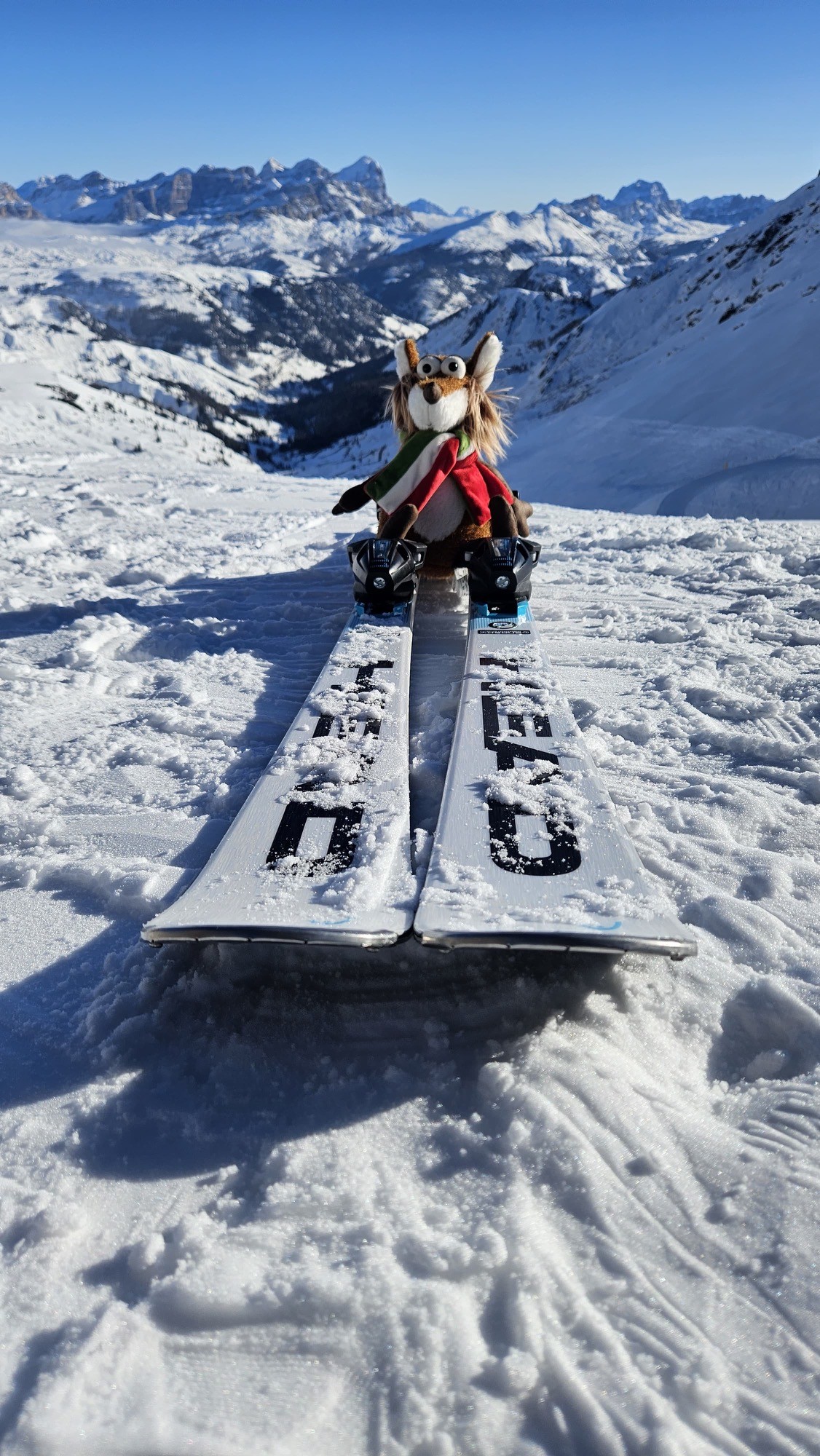 Beasts plush fox Nino Passione, sports fan - delivery as per order date, from now up to week 11