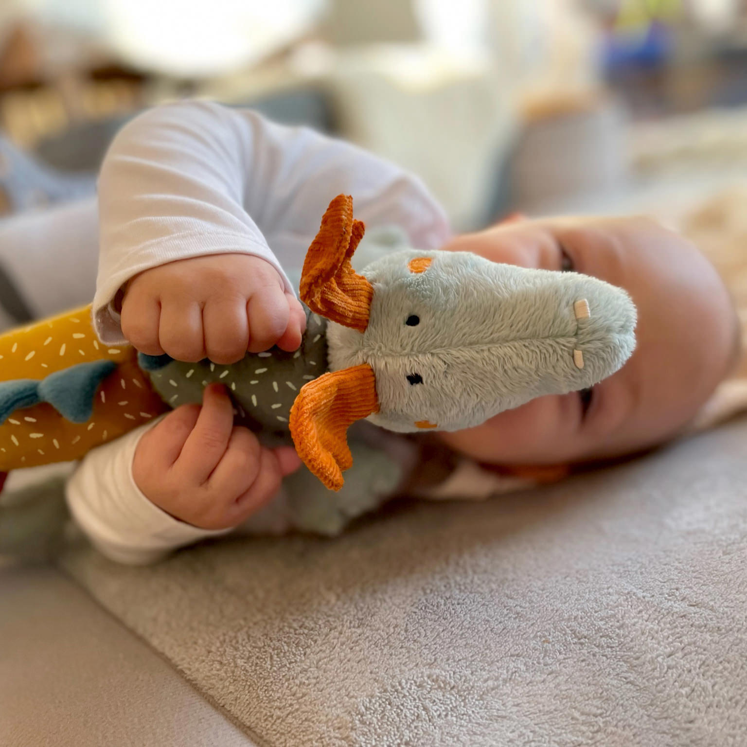 Baby Aktiv Klettdrache Baby Aktiv Klettdrache