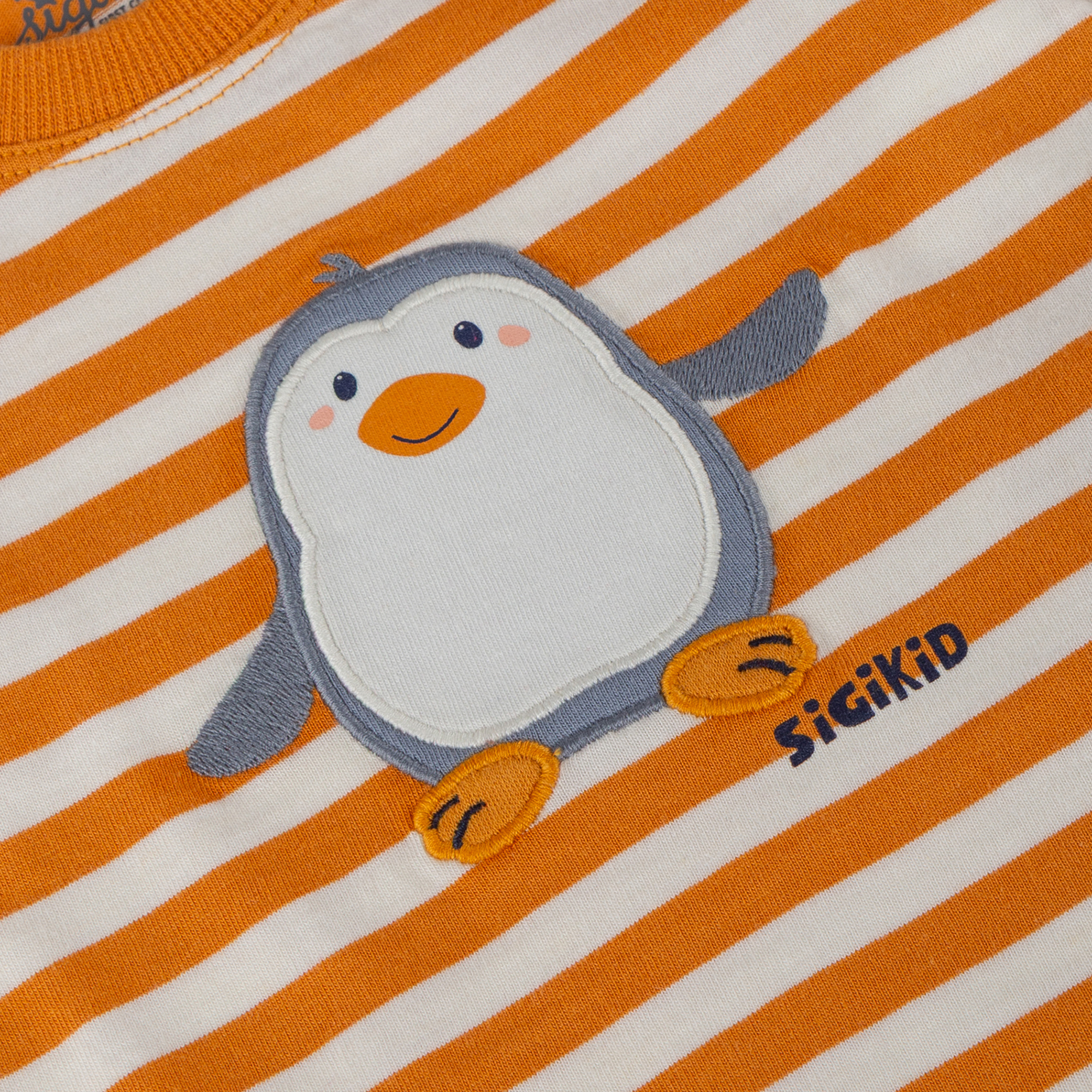 Baby long sleeve Tee Polar Friends, striped