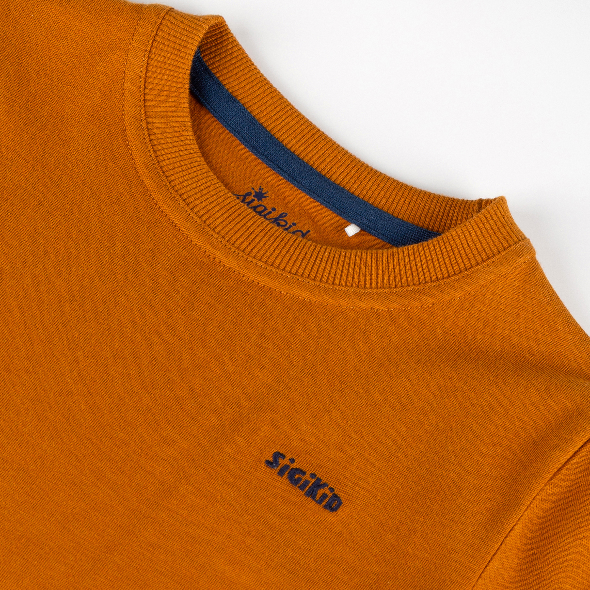 Children's T-shirt Tiger & Lion