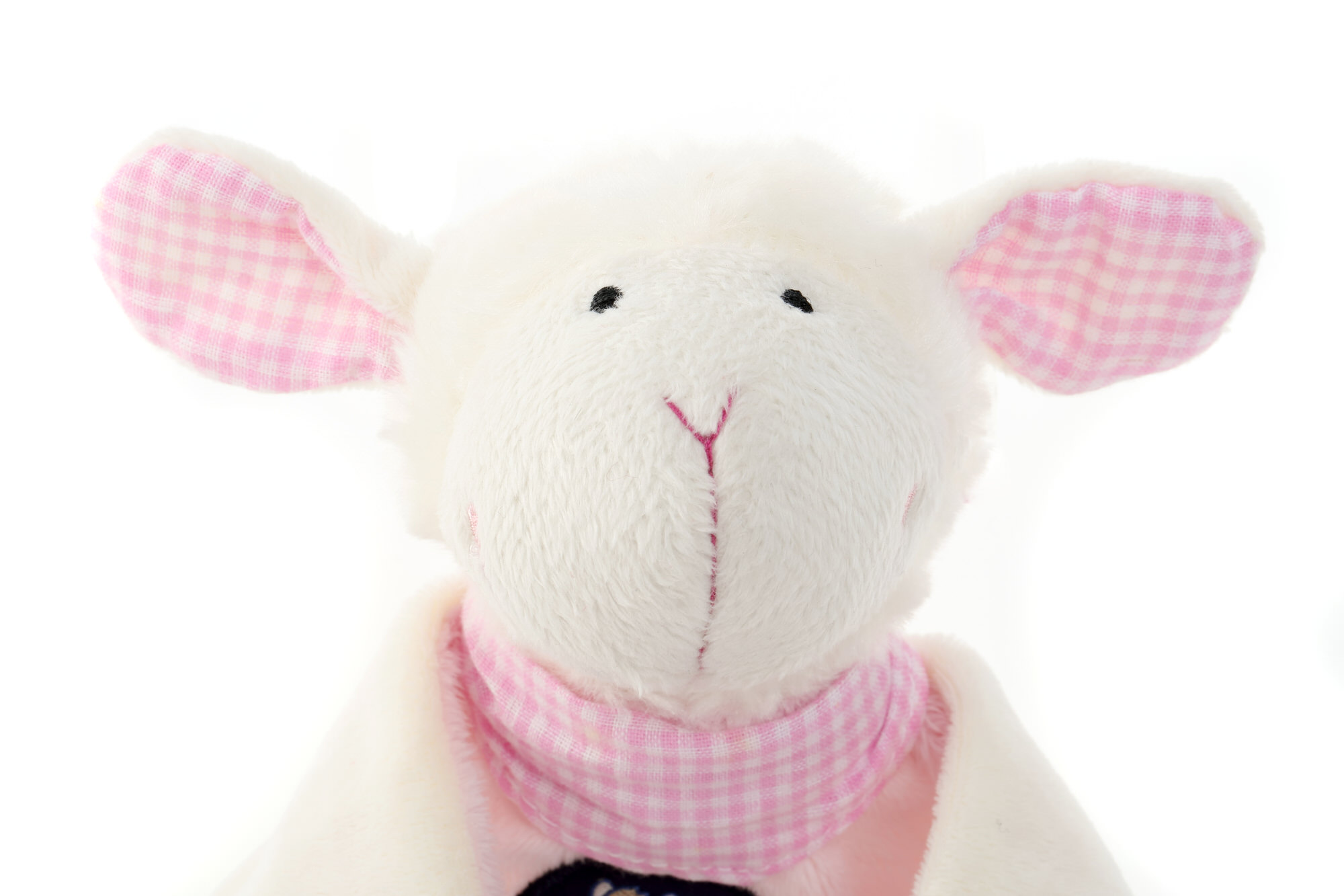 Comforter lamb, zodiac sign Aquarius