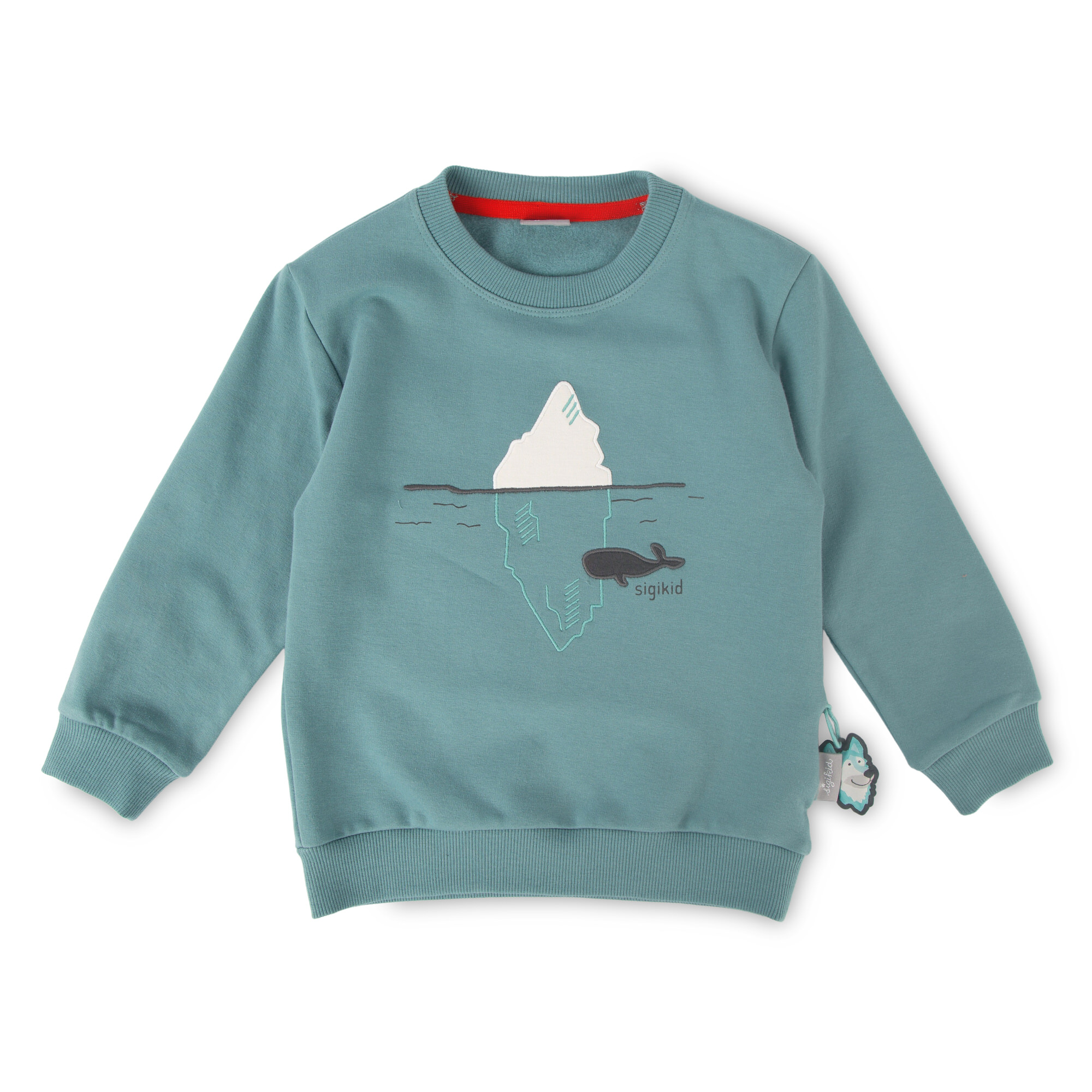 Children's sweatshirt Polar Expedition, jade green