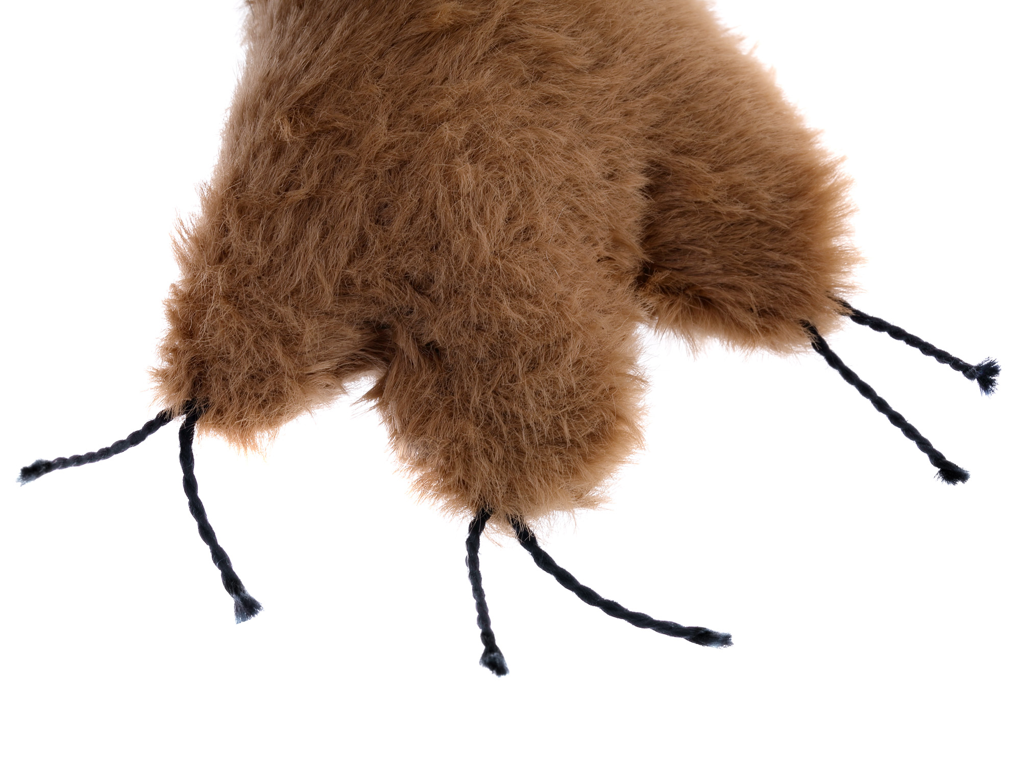 Löwe Metusa Leo Beaststown Löwe Metusa Leo Beaststown