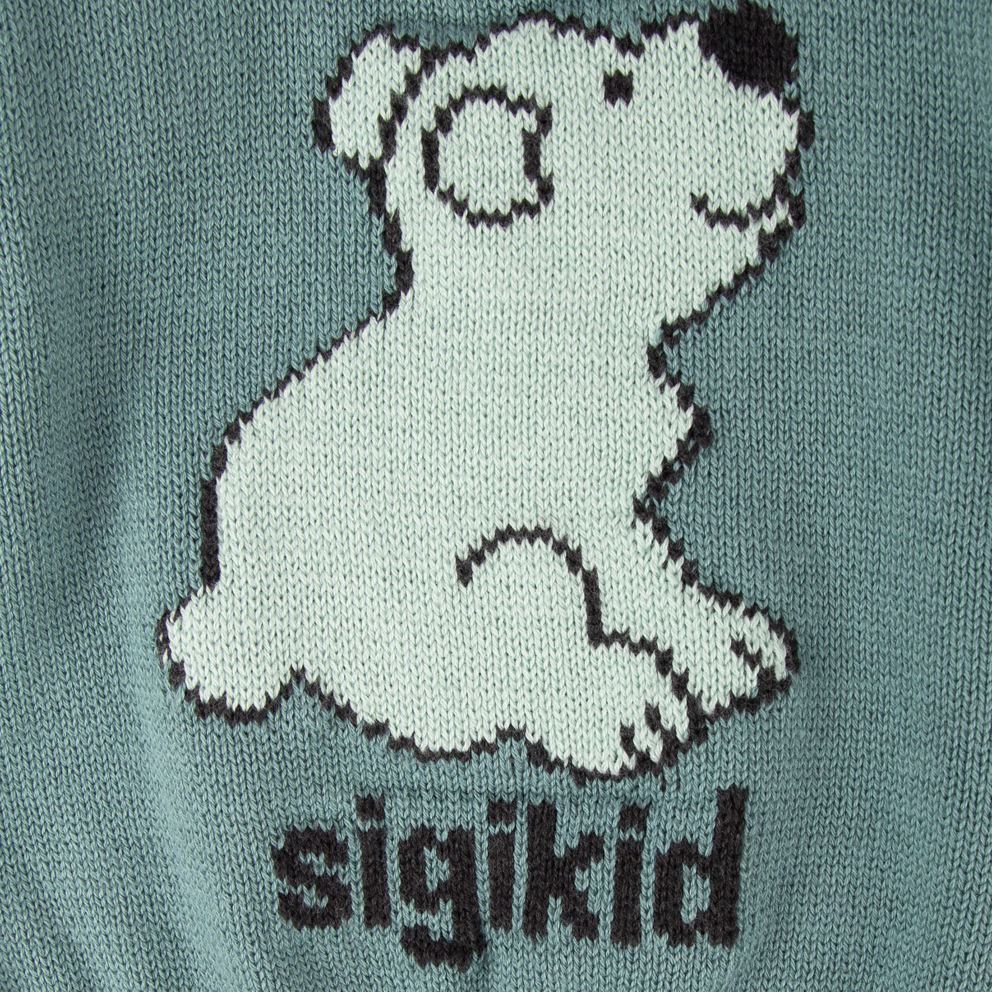 Baby Pullover Eisbär, türkis