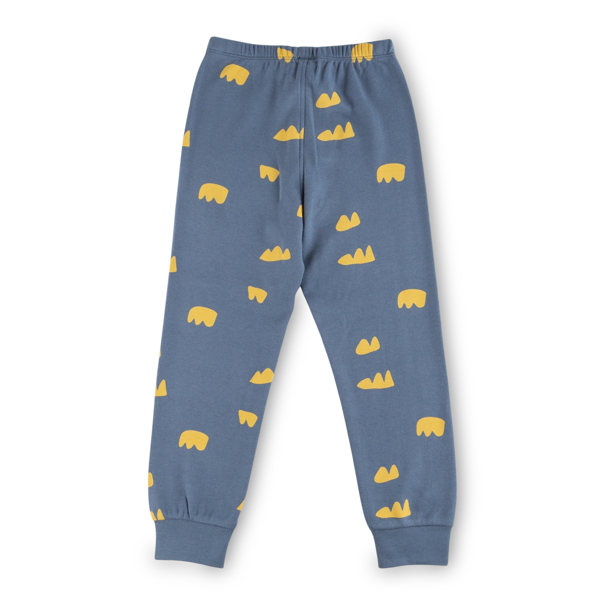 Two piece children's pyjamas dog