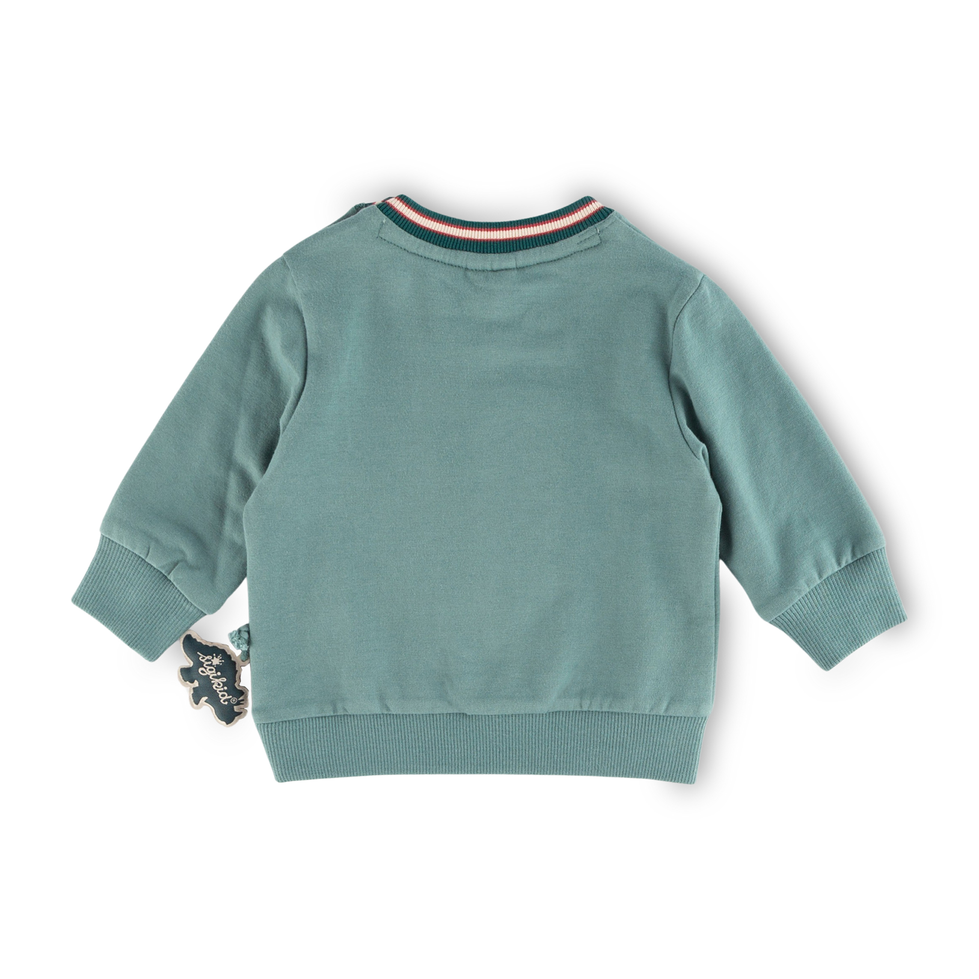 Green baby sweatshirt T-Rex, Dino World