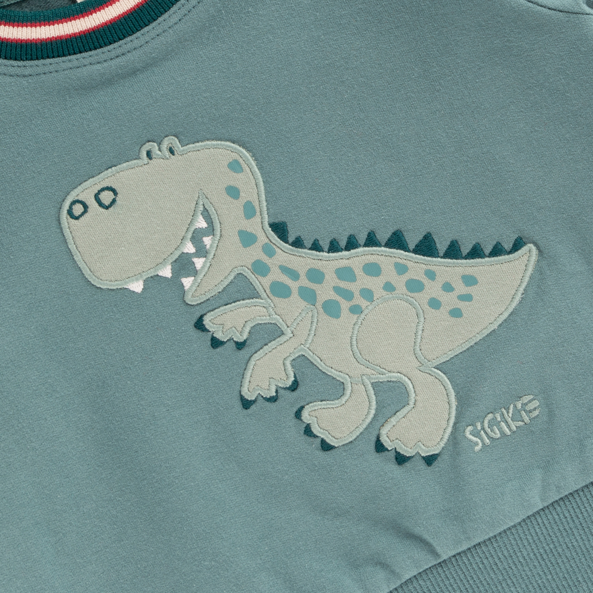 Baby Sweatshirt mit Dino Motiv, grün