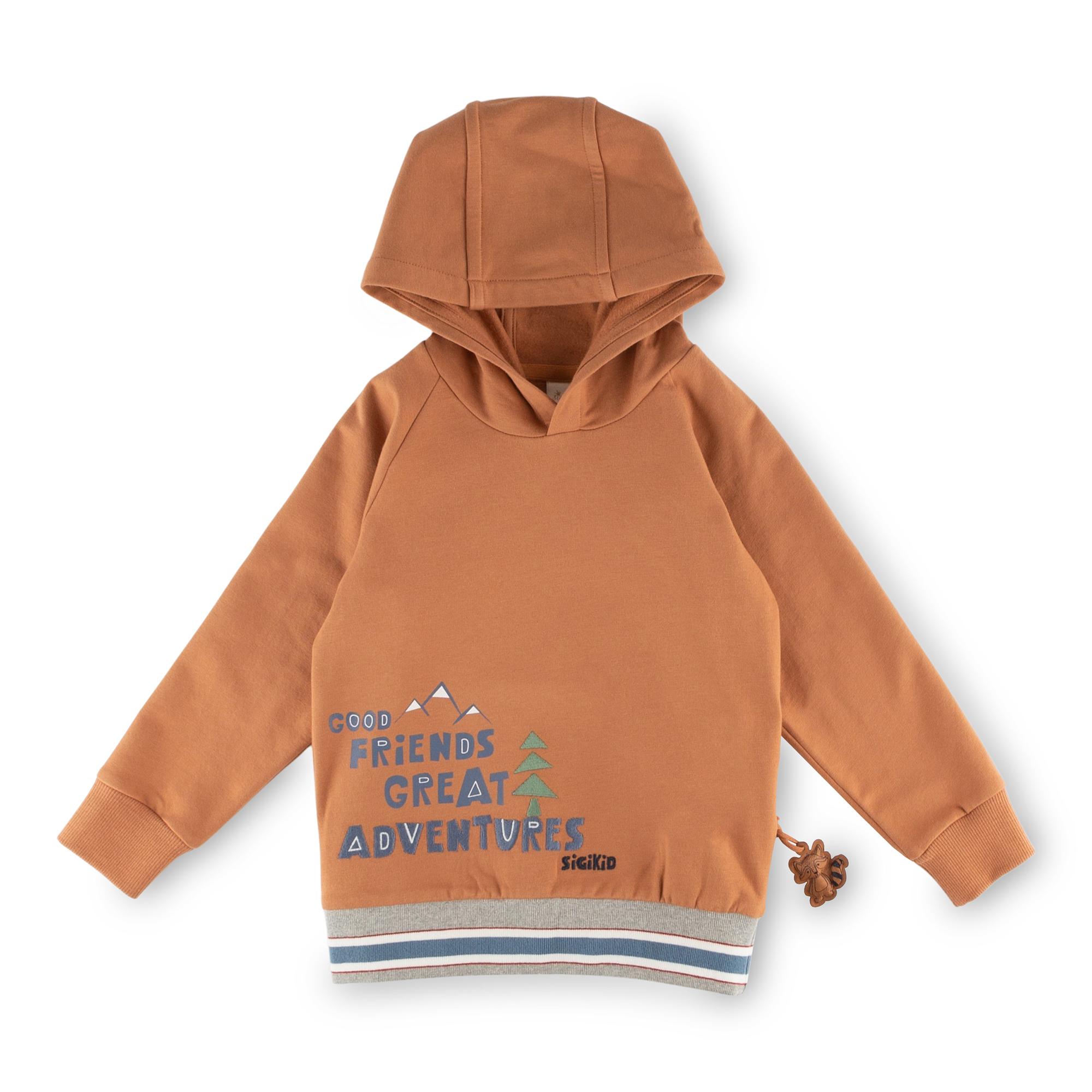 Kinder Kapuzen Sweatshirt, braun