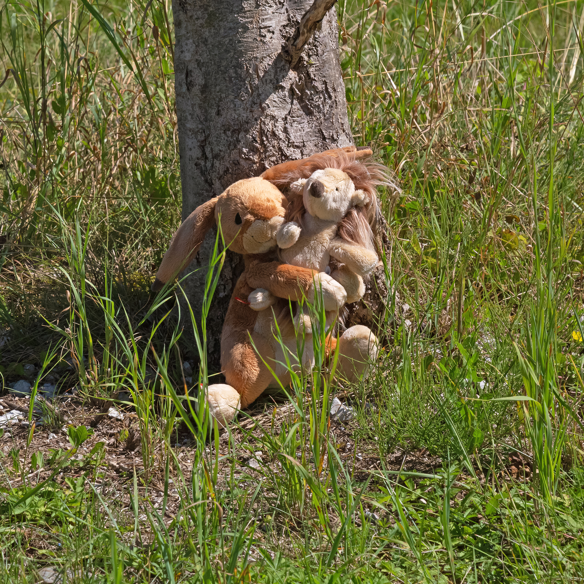 Kuscheltier Wir Zwei - Hase