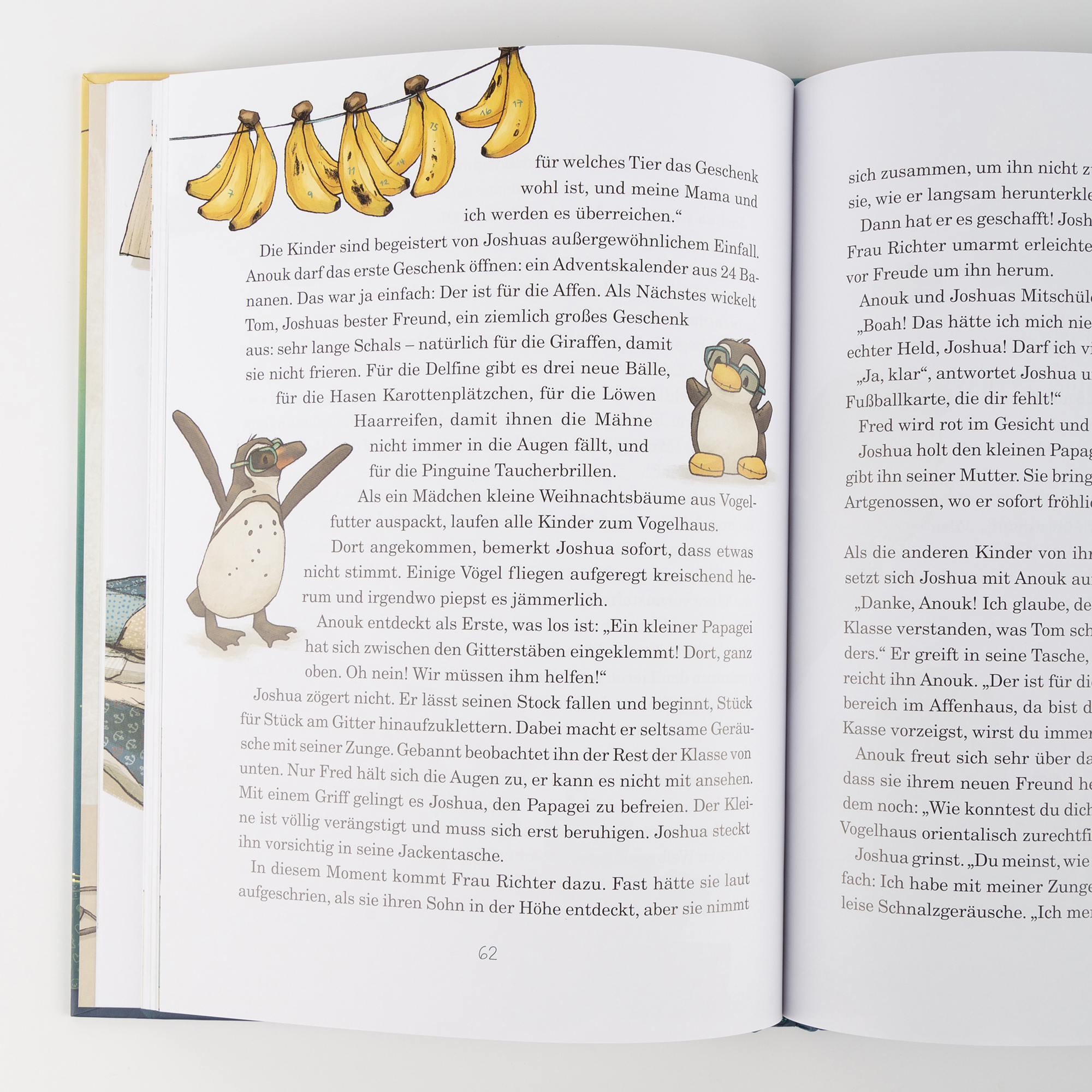 Kinderbuch Anouk und das Geheimnis der Weihnachtszeit