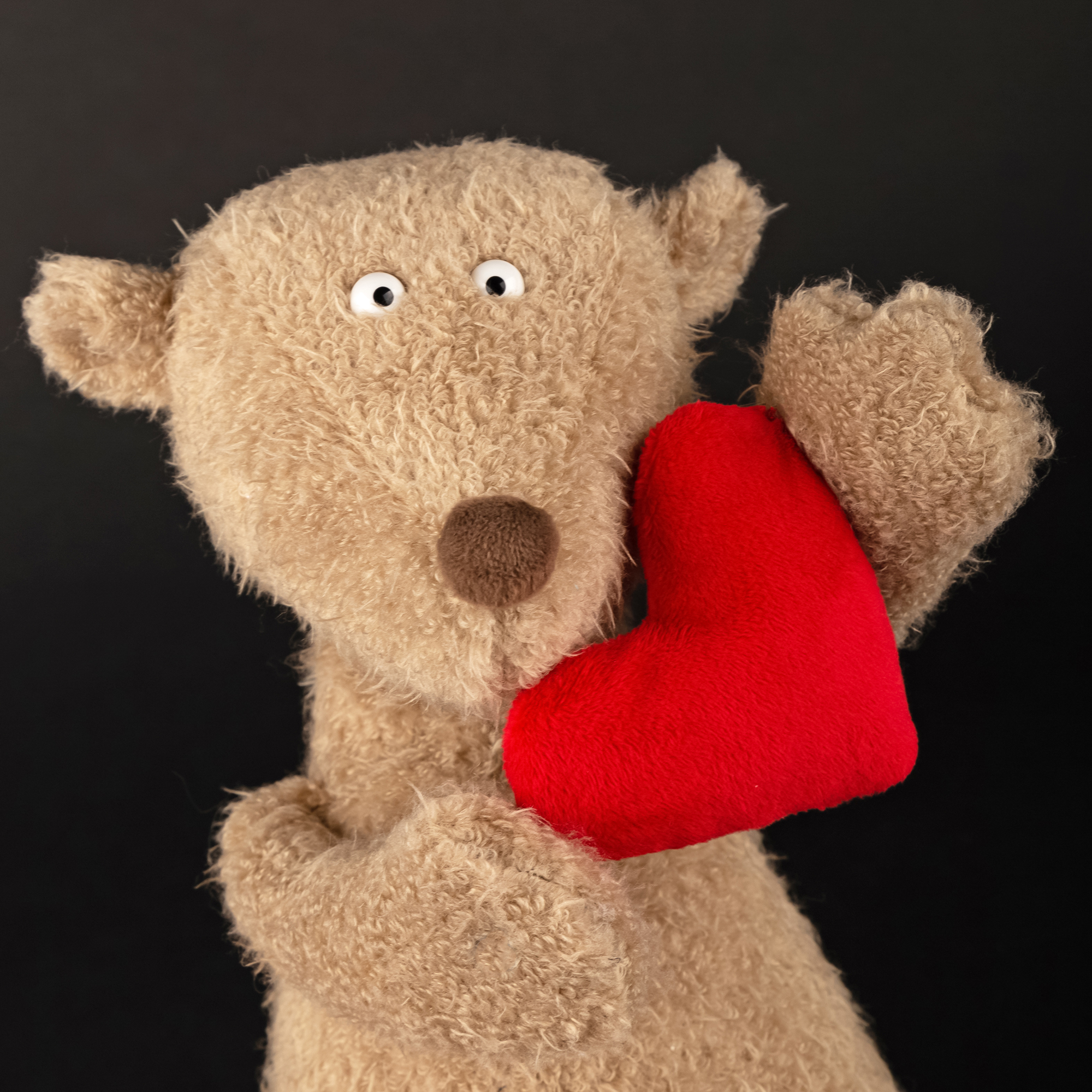 Herz über Kopf - Ach Good!, Beaststown Herz über Kopf - Ach Good!, Beaststown