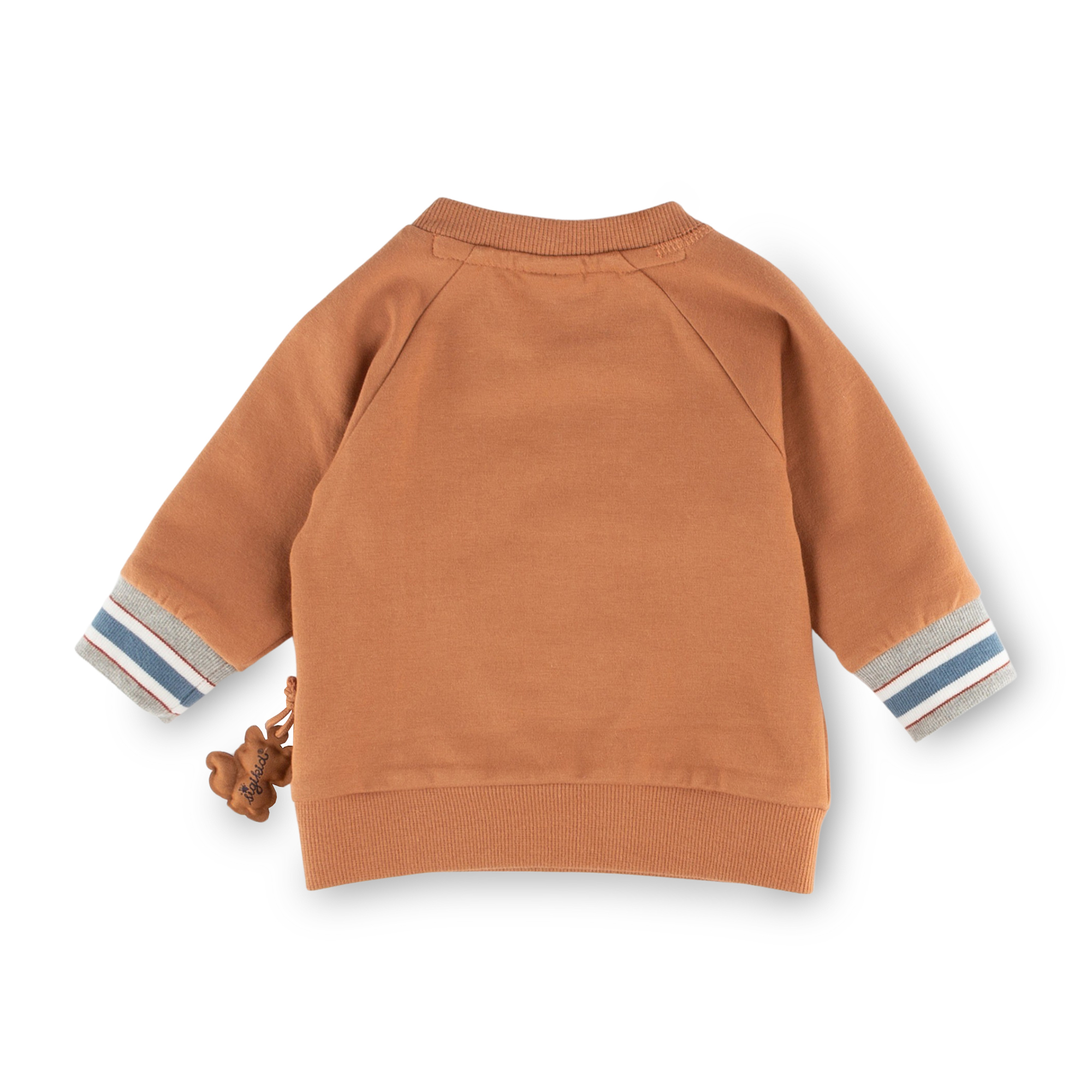 Baby Sweatshirt mit Bären Motiv, braun