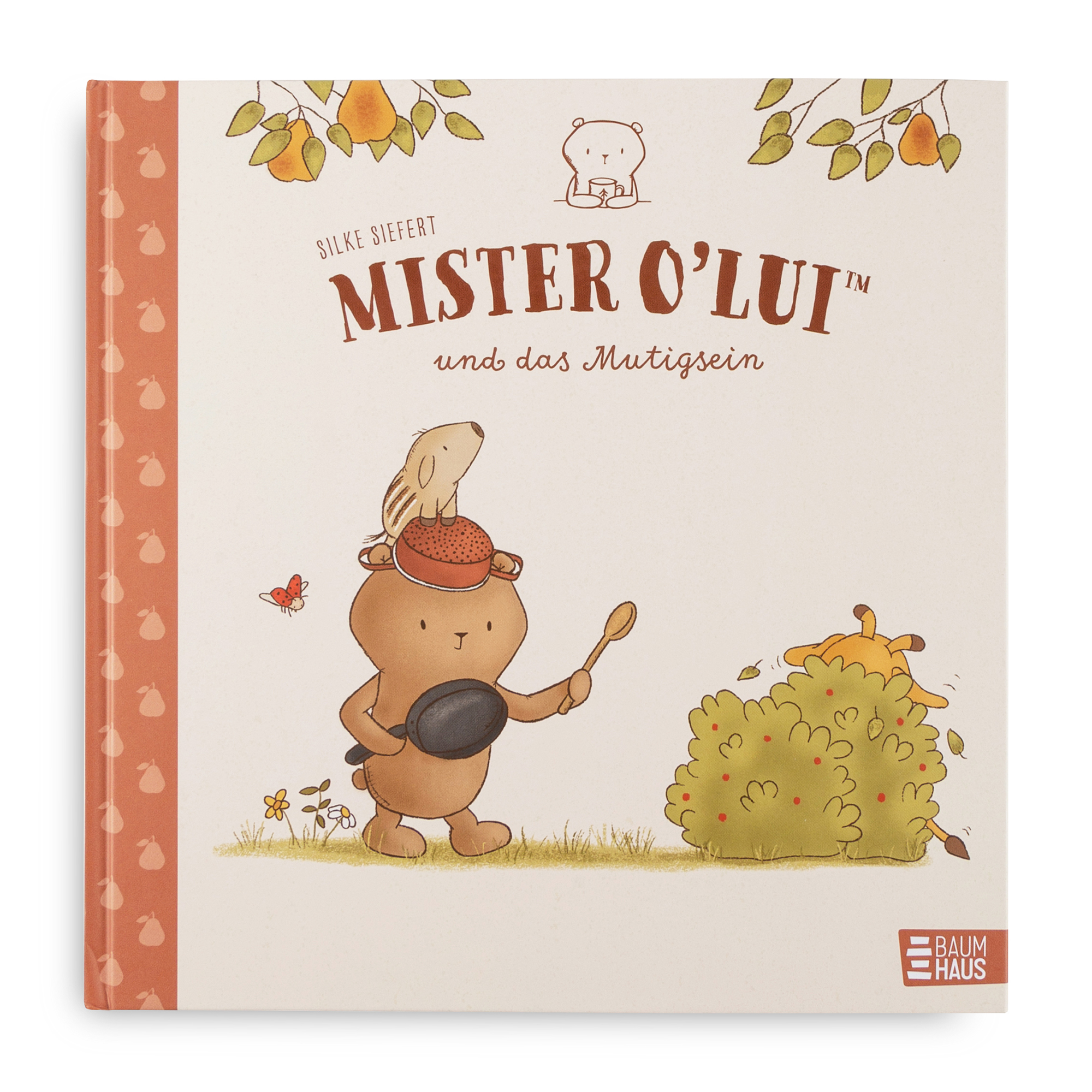 Kinderbuch Mister O'Lui und das Mutigsein