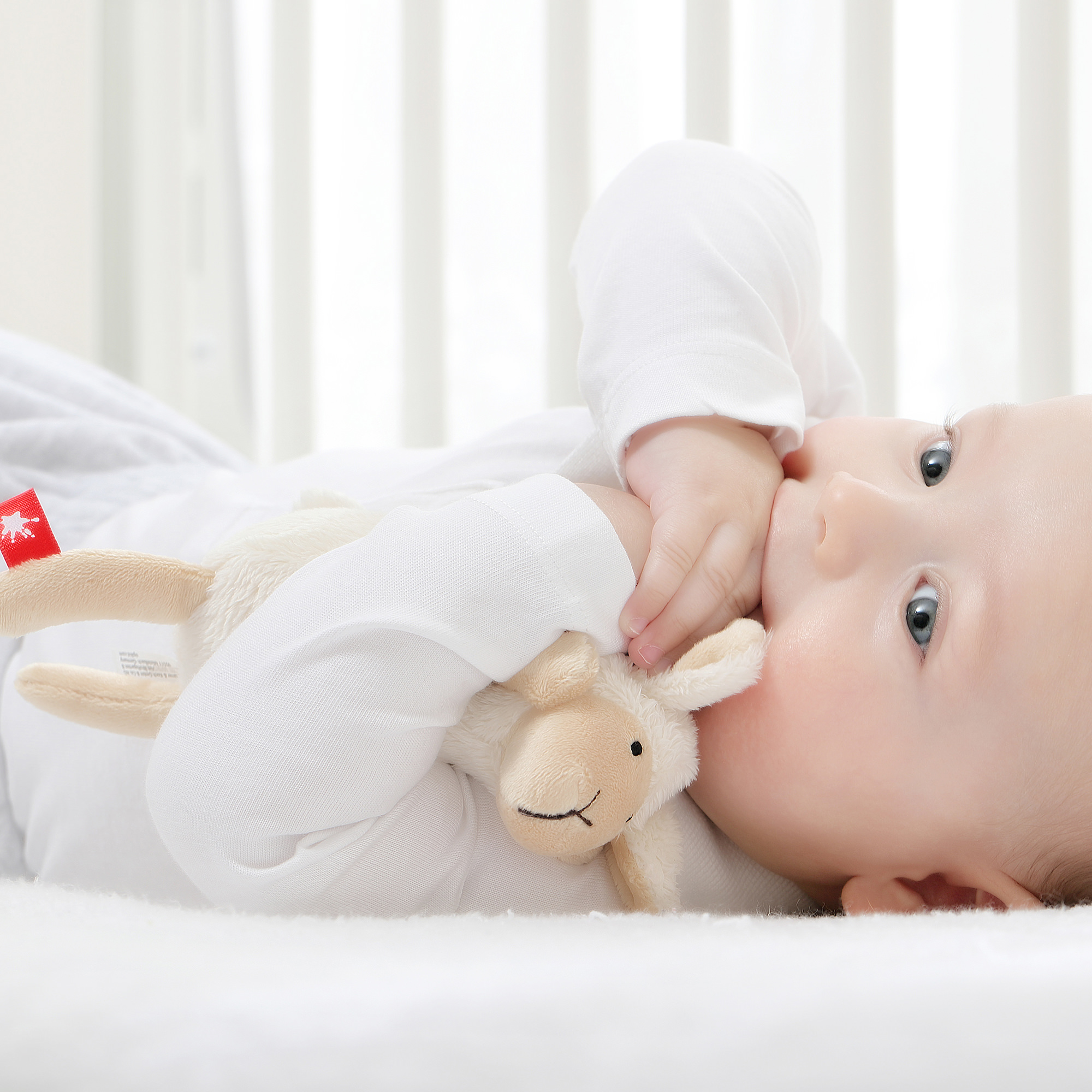 Mini cuddle toy lamb