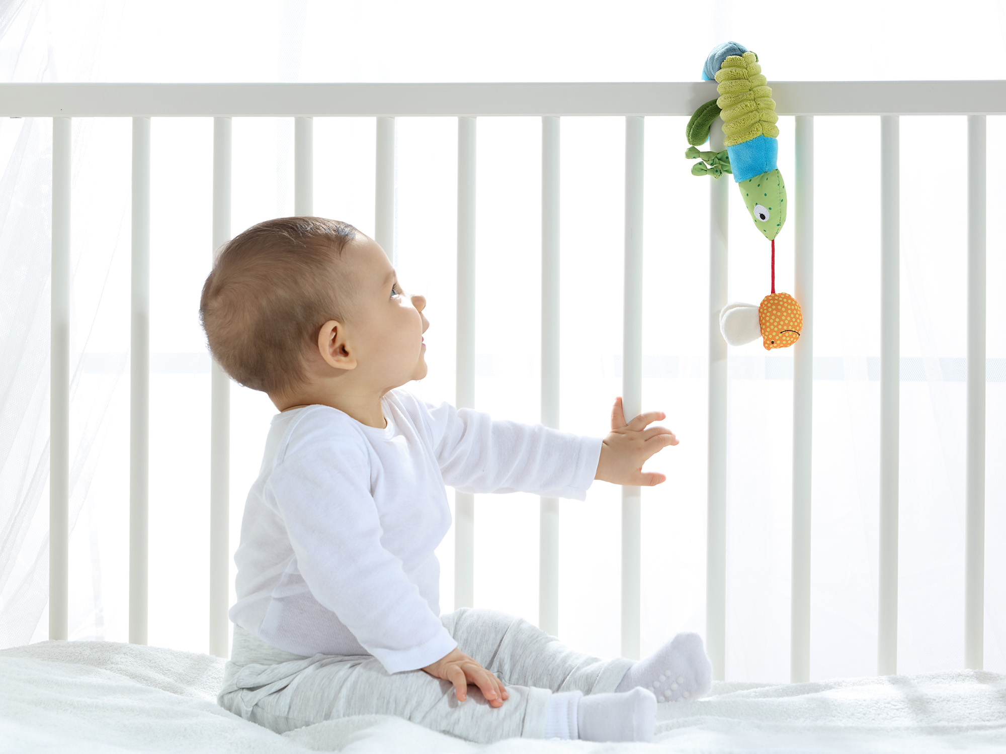 Hanging toy chameleon Hanging toy chameleon
