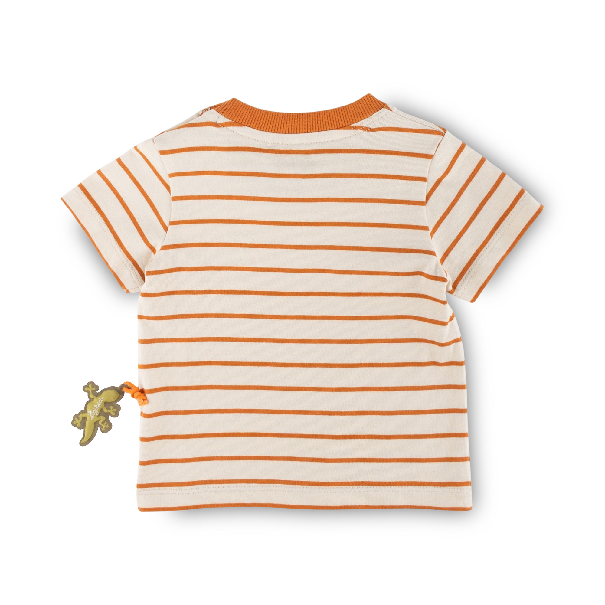 Striped baby T-shirt gecko, Jungle