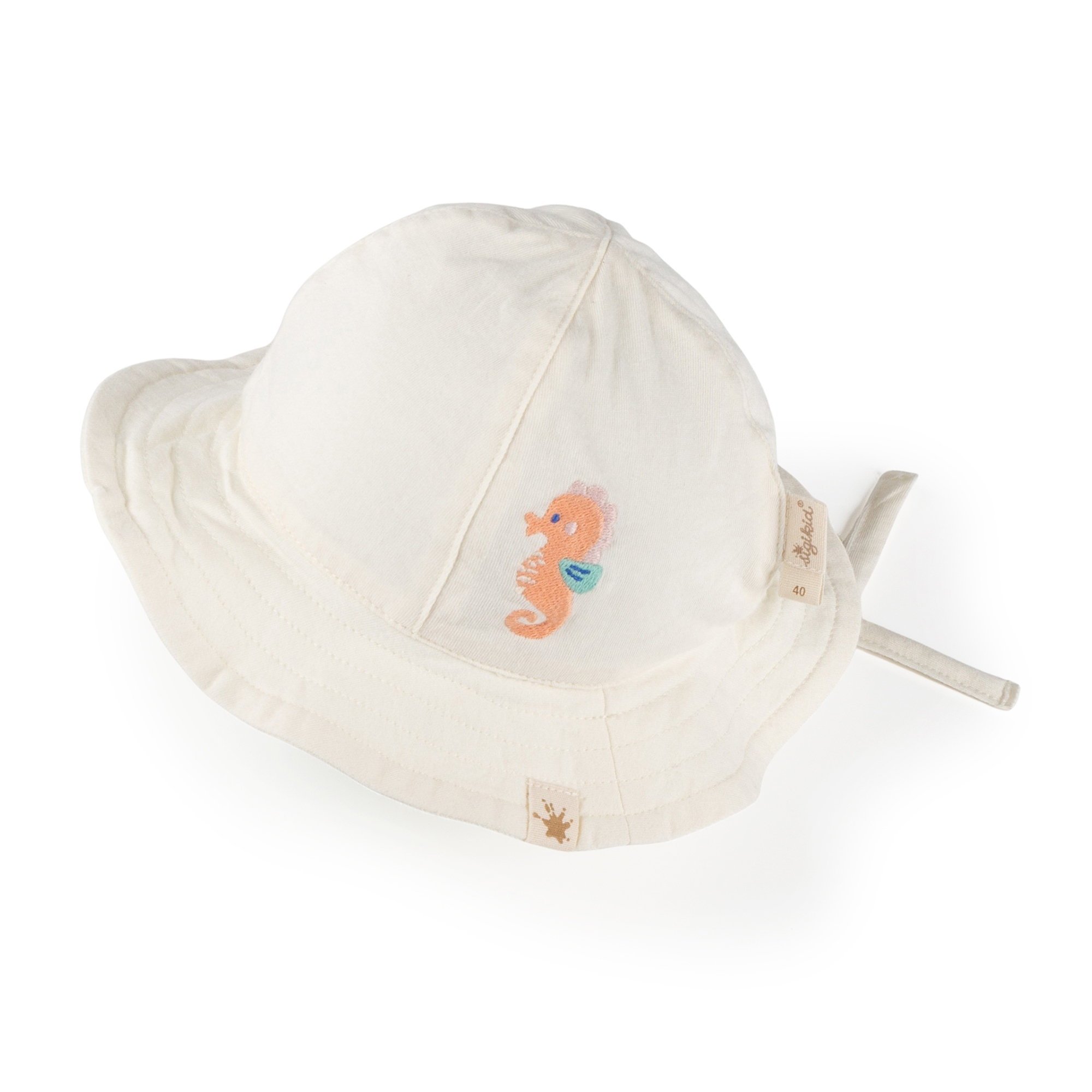 Baby Sonnenhut Seepferdchen, weiß