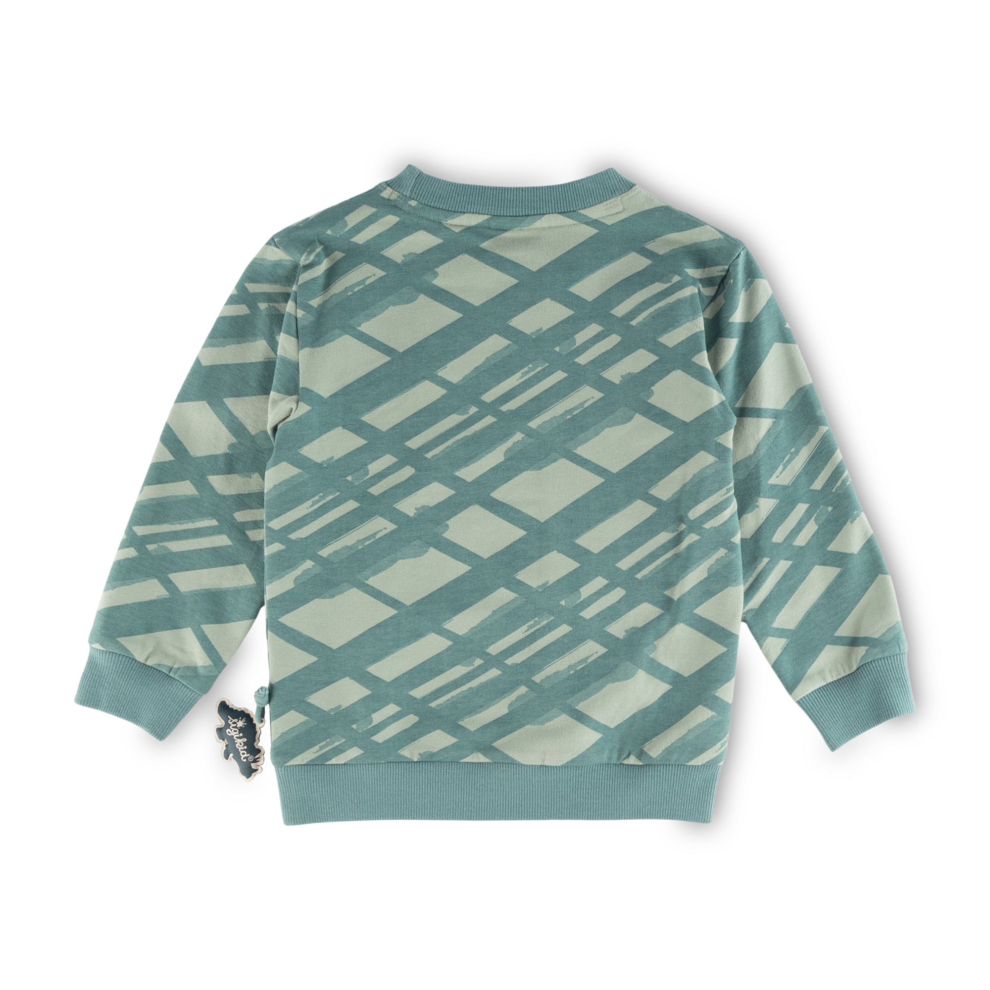 Children's green graphic sweatshirt, Dino World