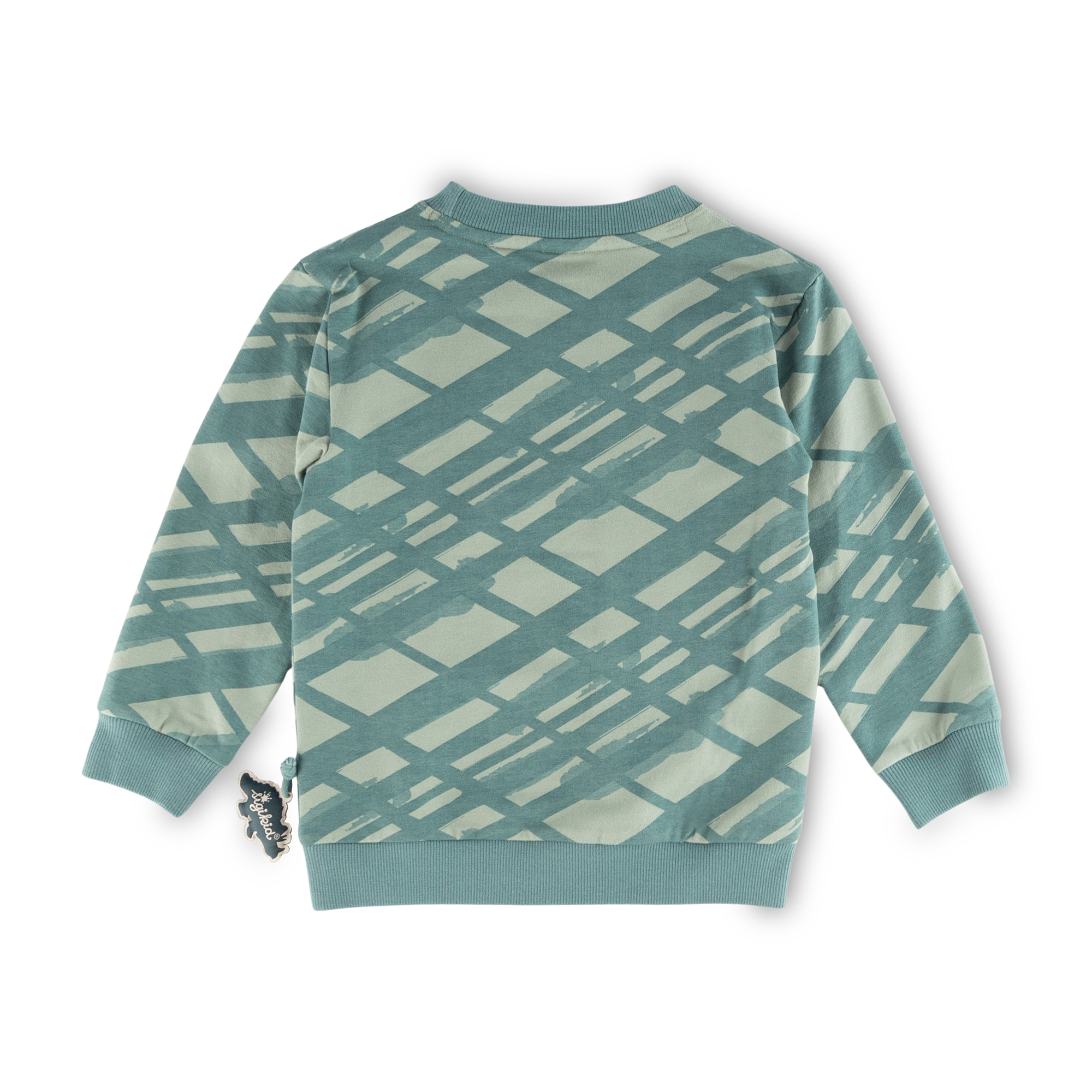 Children's green graphic sweatshirt, Dino World Children's green graphic sweatshirt, Dino World