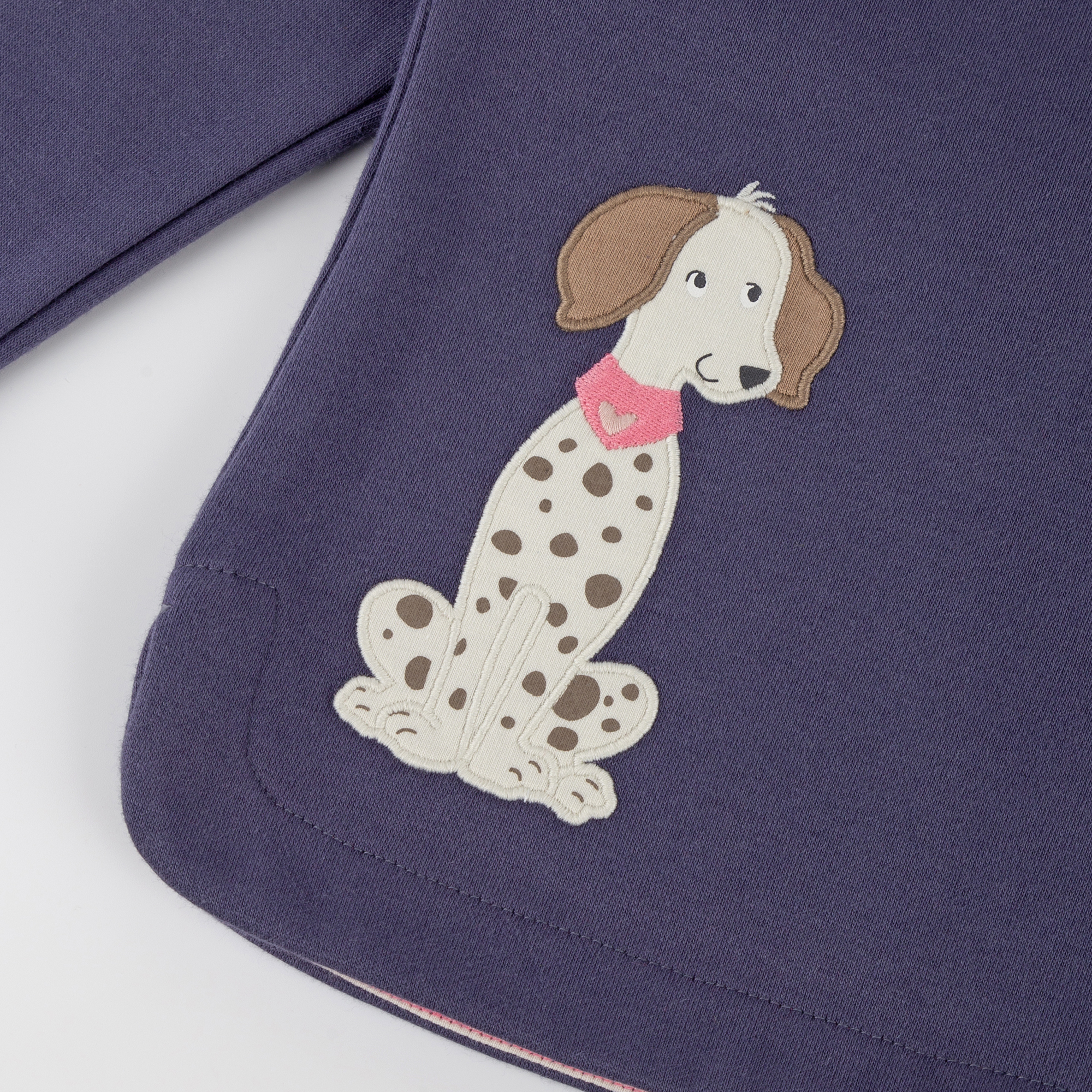 Blaues Kinder Sweatshirt, Hund Funny Dog Blaues Kinder Sweatshirt, Hund Funny Dog