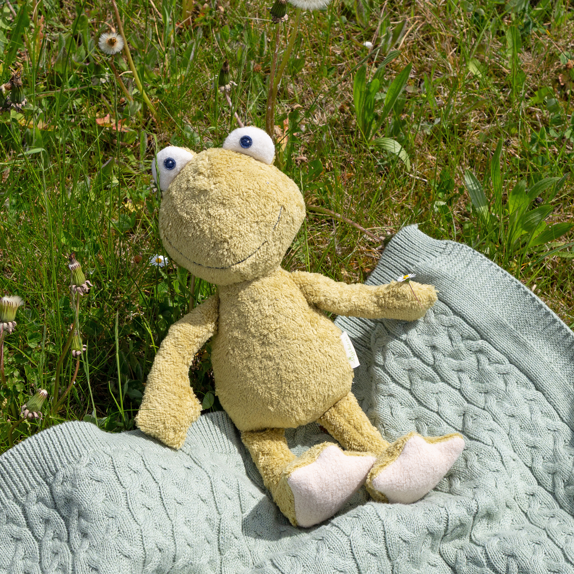 Plüschtier Frosch, Bio Baumwolle, Pure Collection