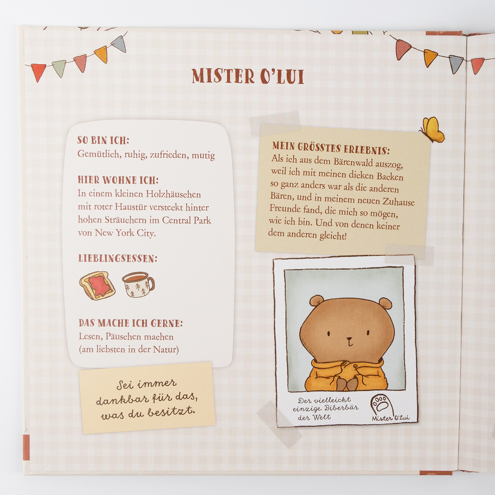 Kinderbuch Mister O'Lui und das Mutigsein Kinderbuch Mister O'Lui und das Mutigsein