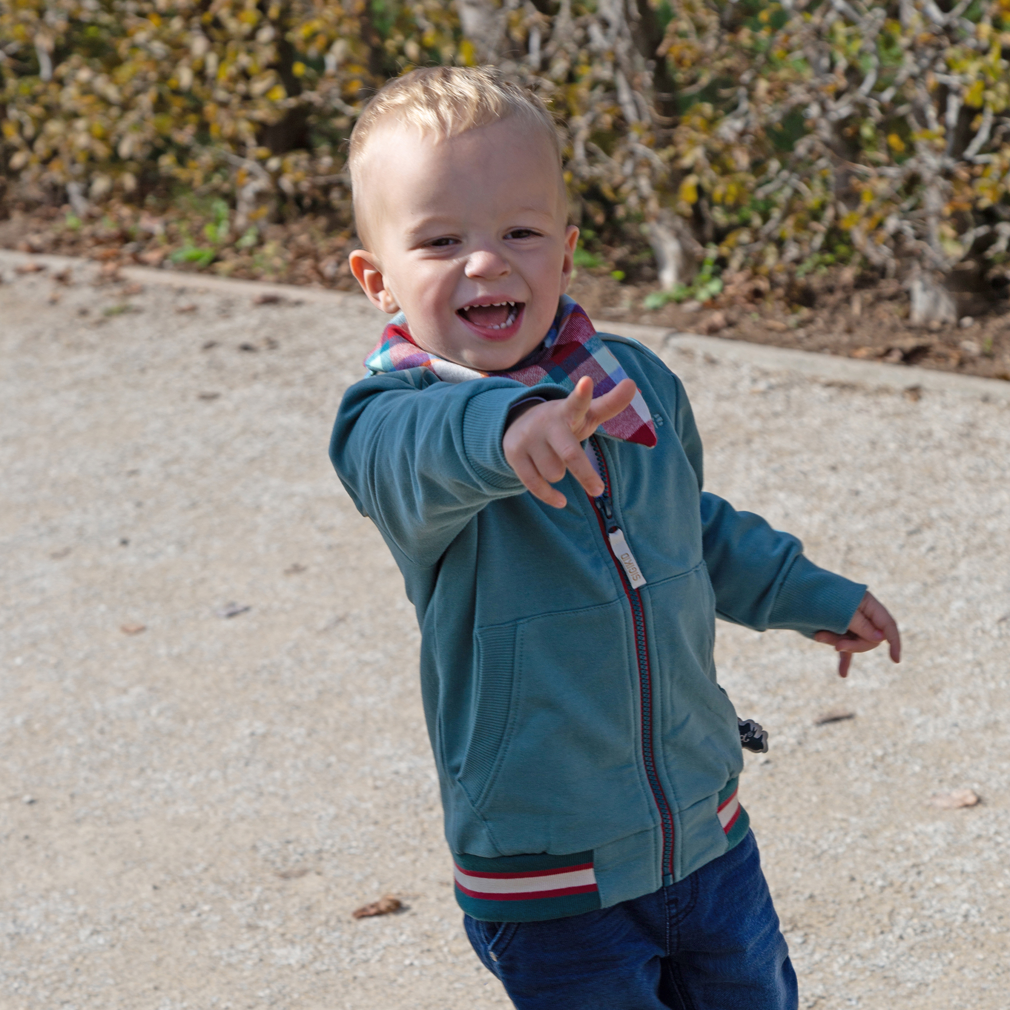 Kinder Sweatjacke mit Dino Motiv, grün