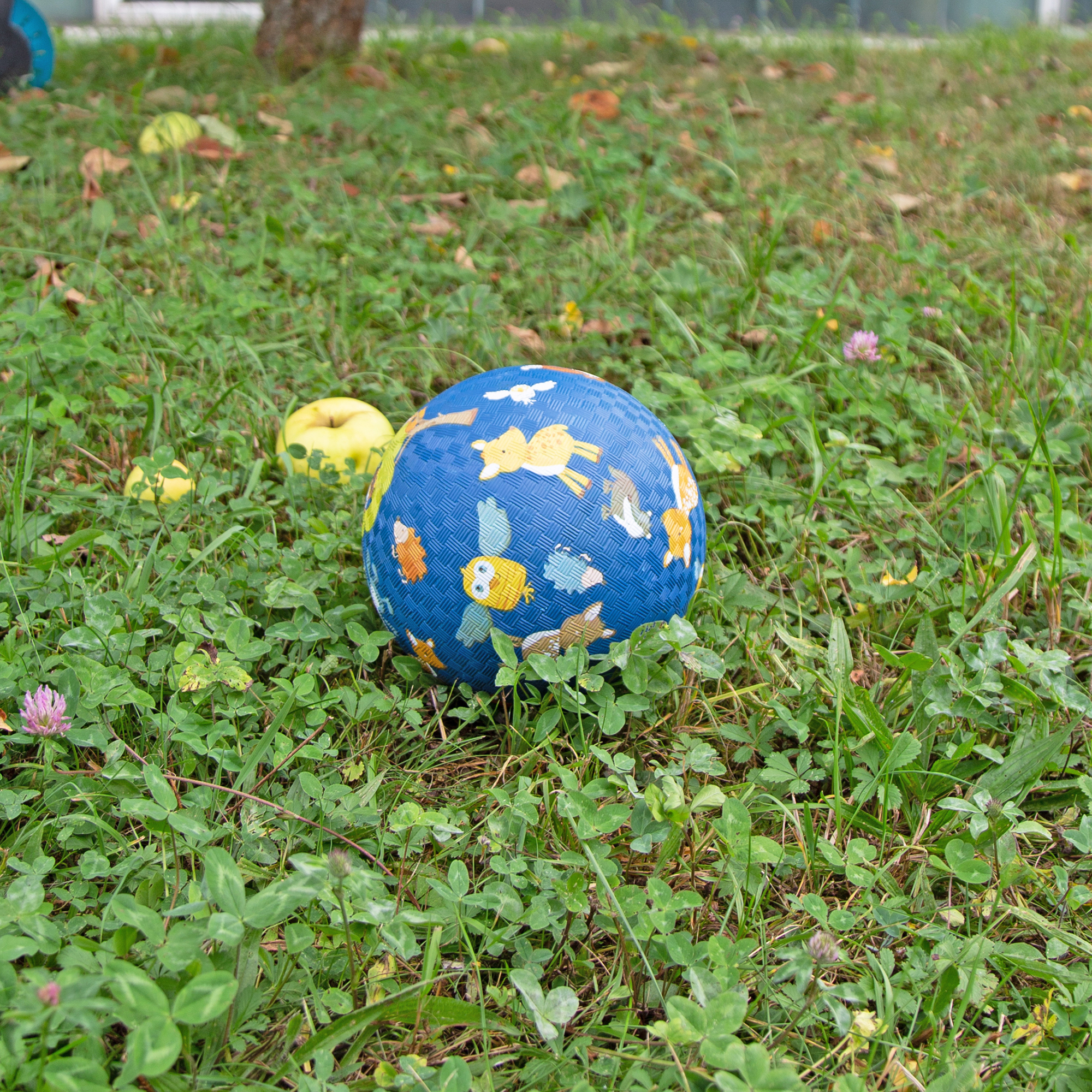 Kinder Spielball Wald