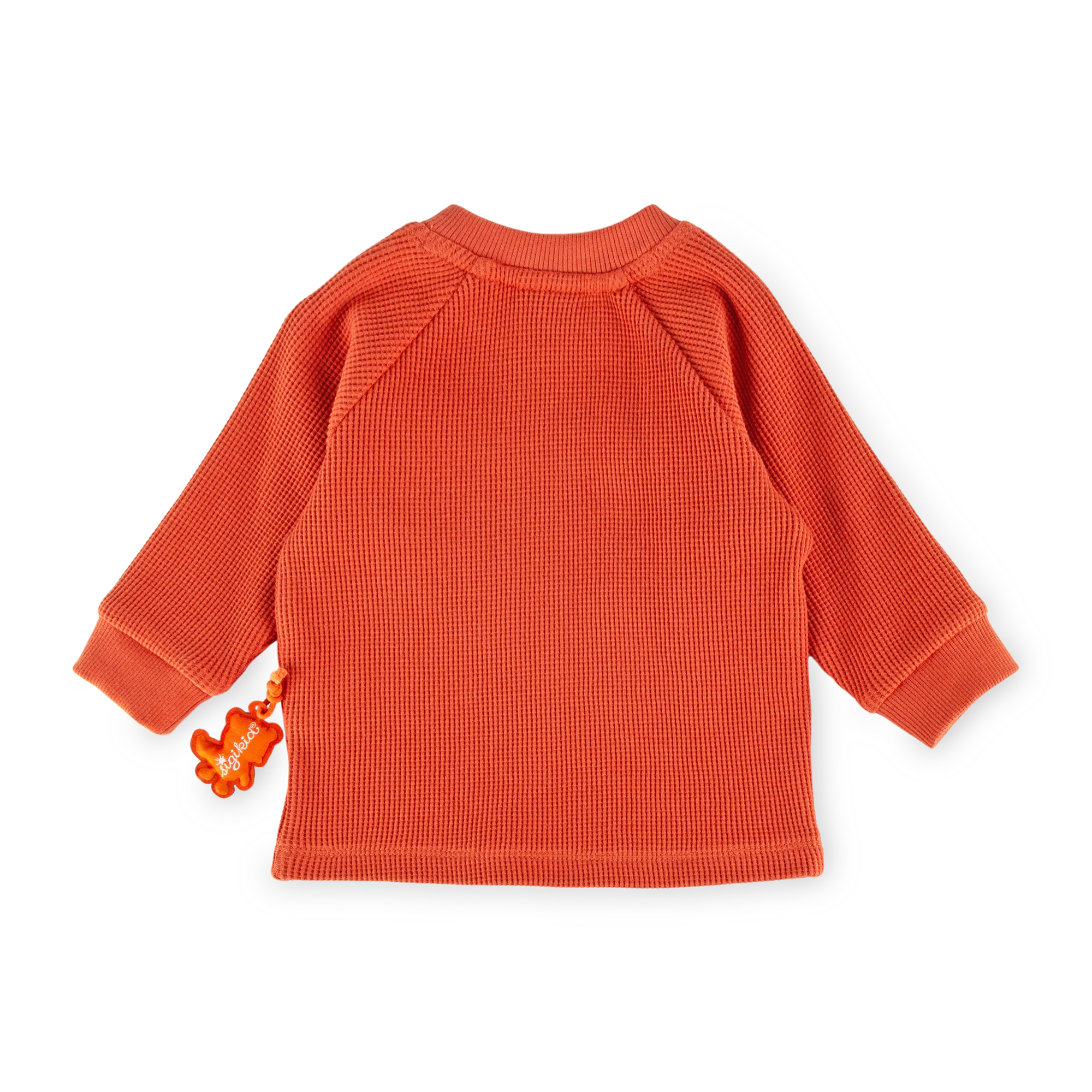 Baby Piqué Langarmshirt mit Tiger Patch, orangerot