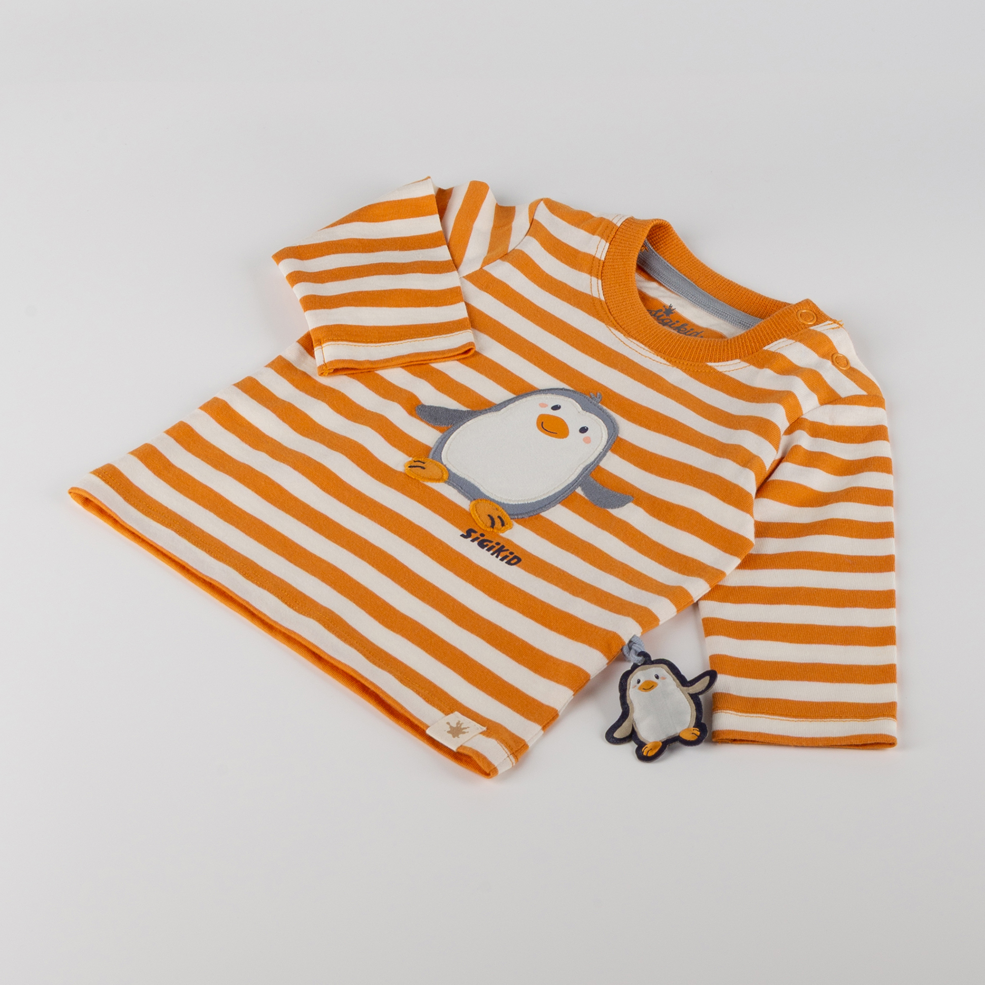 Baby long sleeve Tee Polar Friends, striped