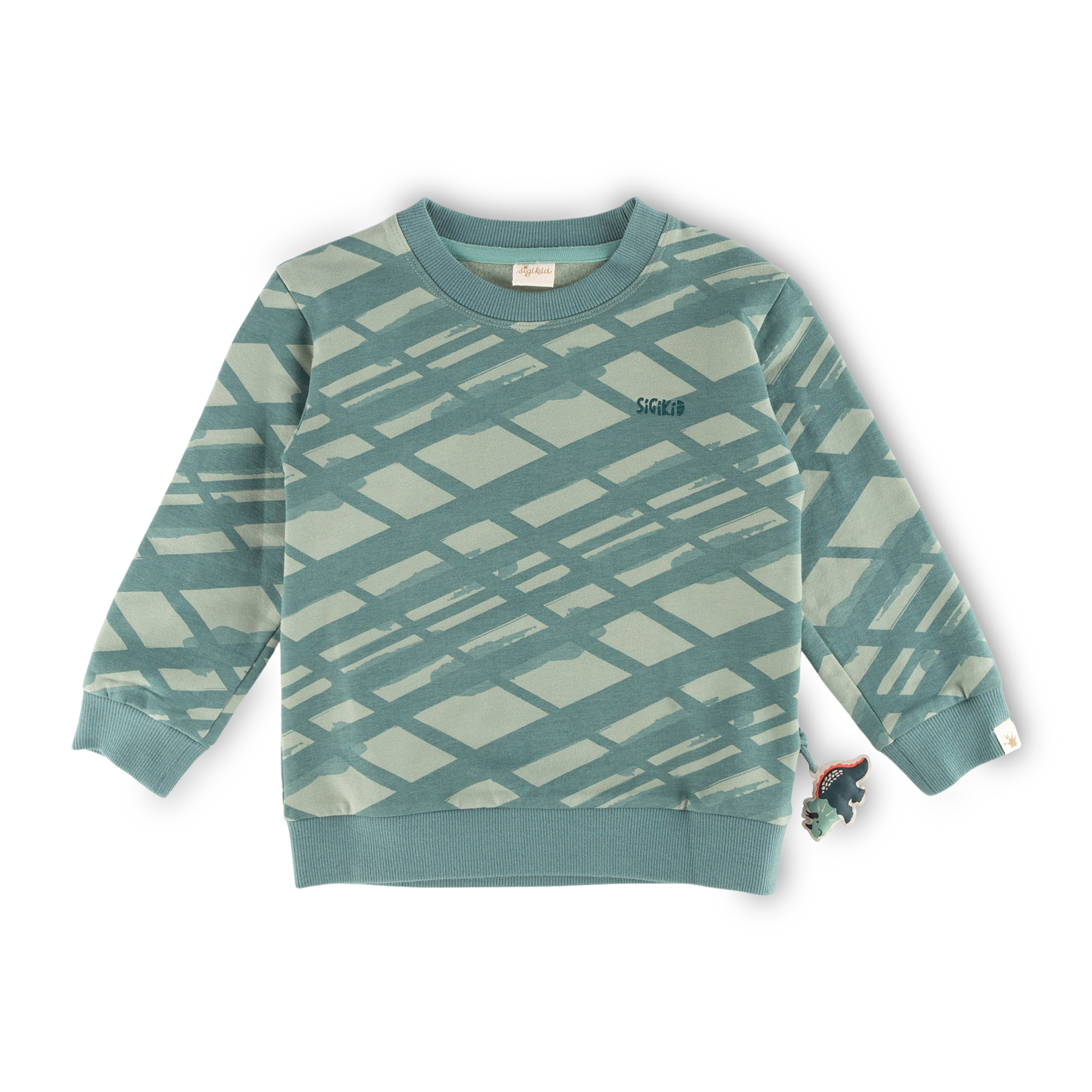 Children's green graphic sweatshirt, Dino World