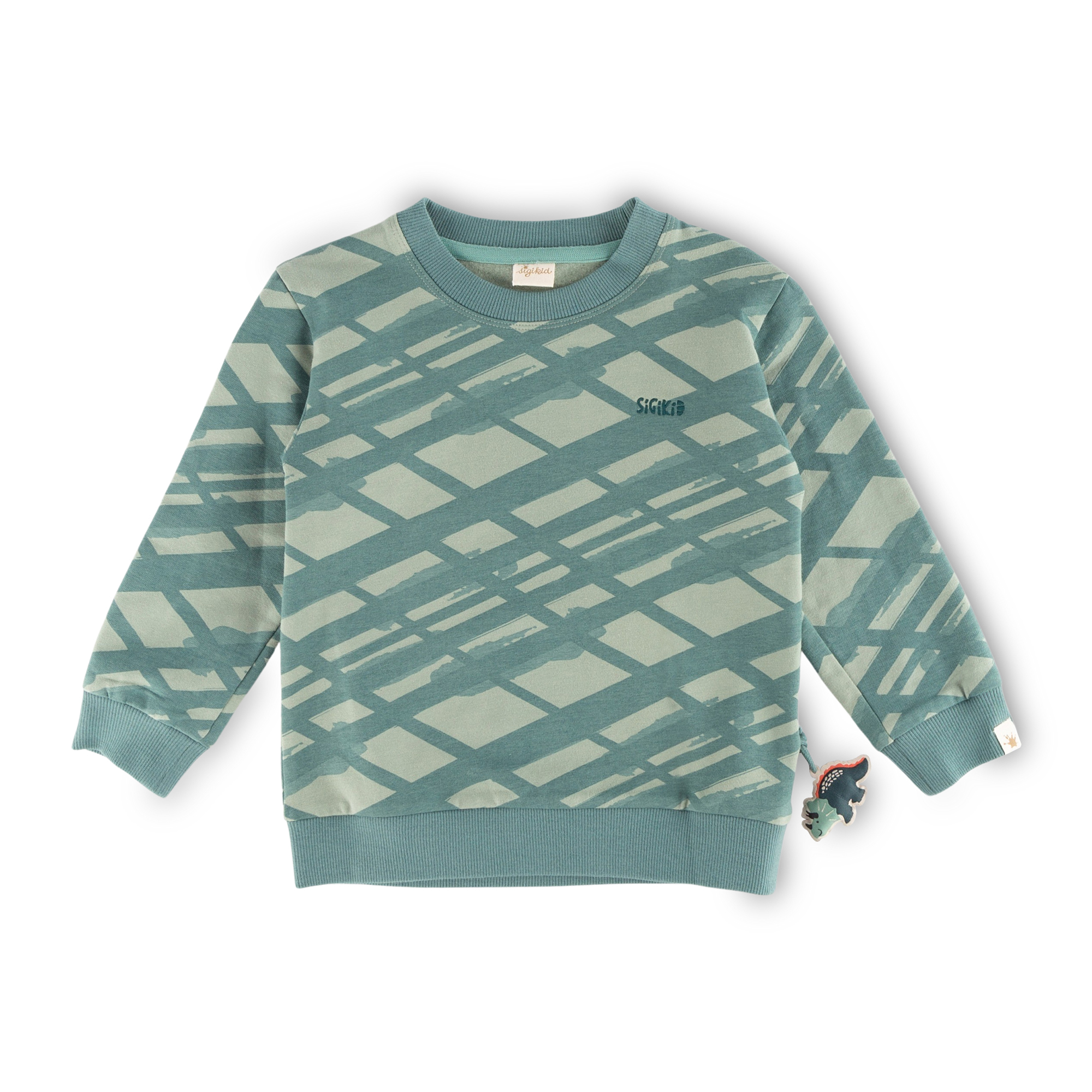 Children's green graphic sweatshirt, Dino World Children's green graphic sweatshirt, Dino World
