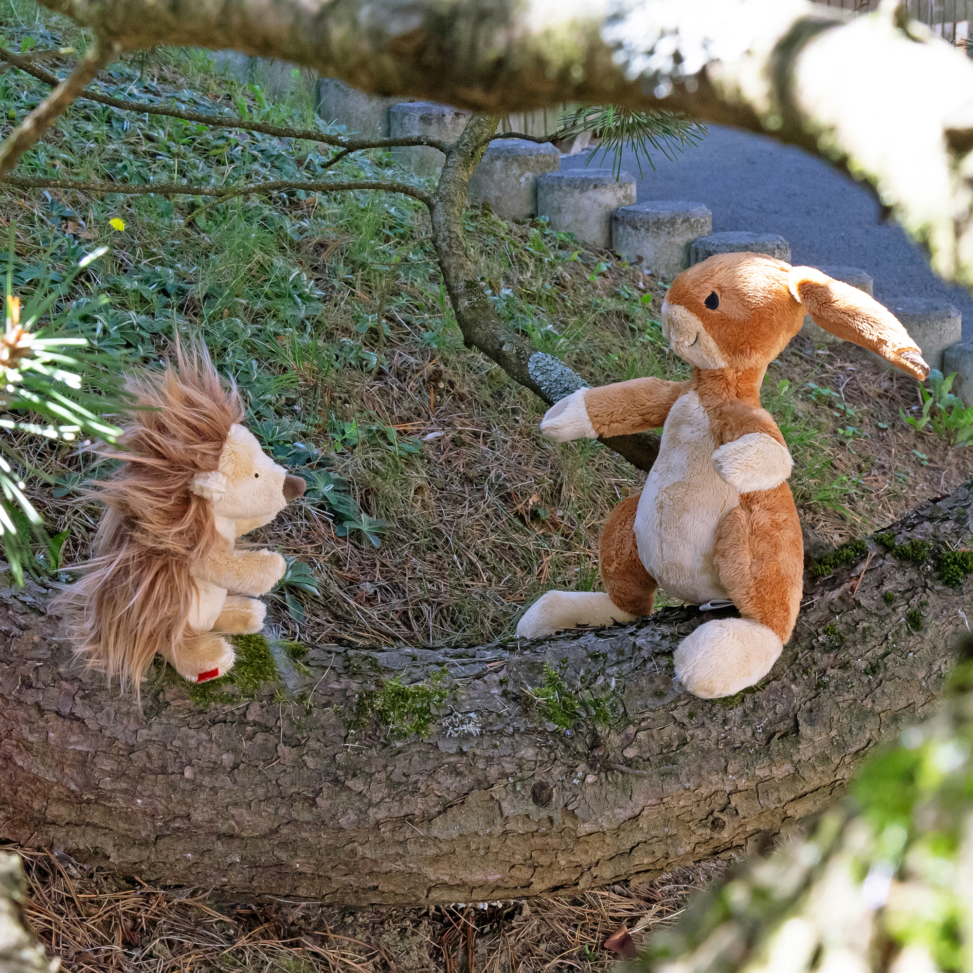 Plush hedgehog, children's book "Wir zwei..." (You and me) by Michael Engler