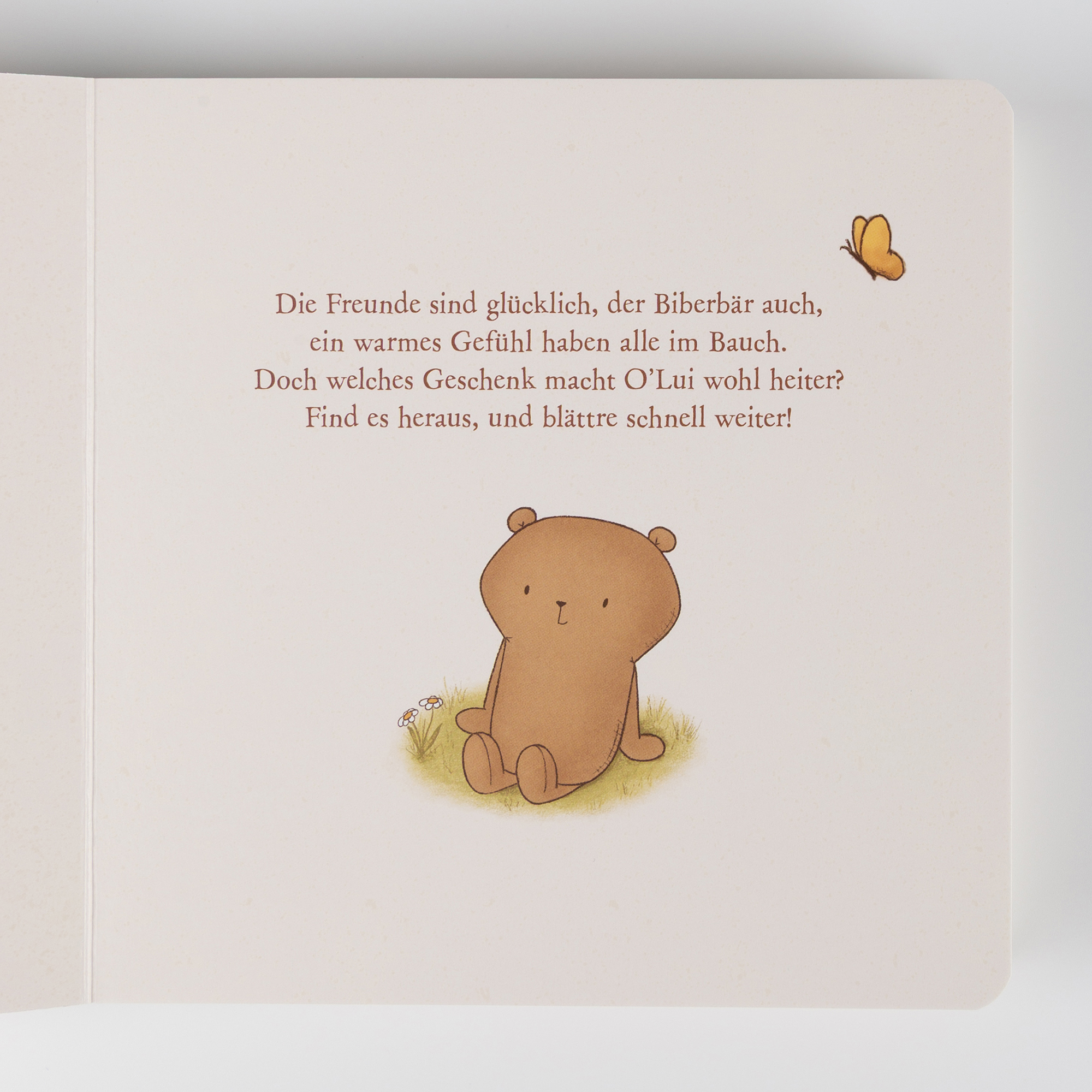 Kinderbuch Mister O'Lui und das schönste Geschenk der Welt