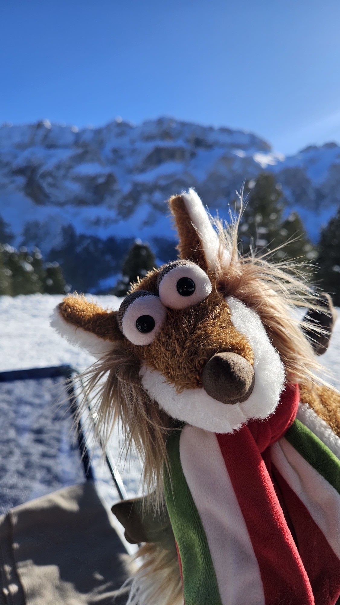 Beasts plush fox Nino Passione, sports fan - delivery as per order date, from now up to week 11