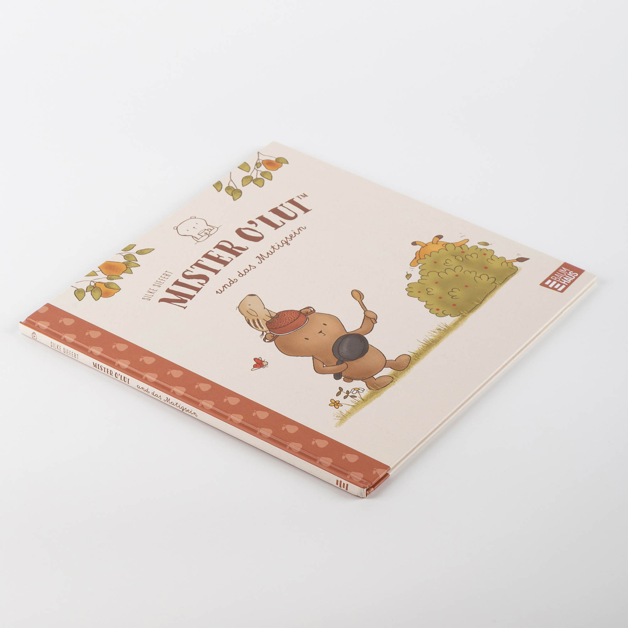 Kinderbuch Mister O'Lui und das Mutigsein Kinderbuch Mister O'Lui und das Mutigsein