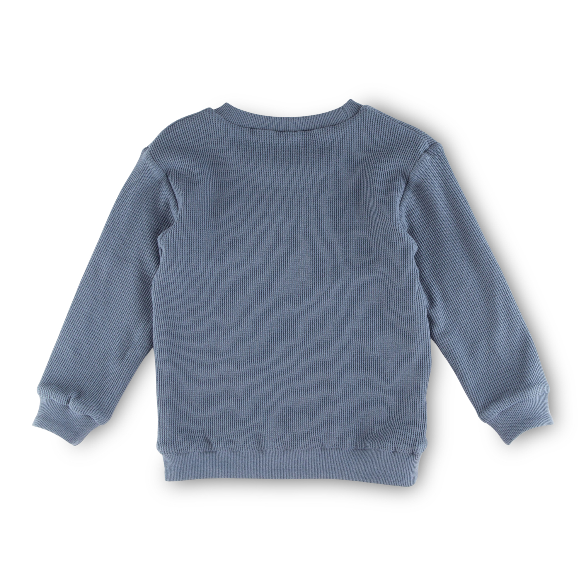 Kinder Langarm Wendeshirt Forest Adventure, blau oder grau