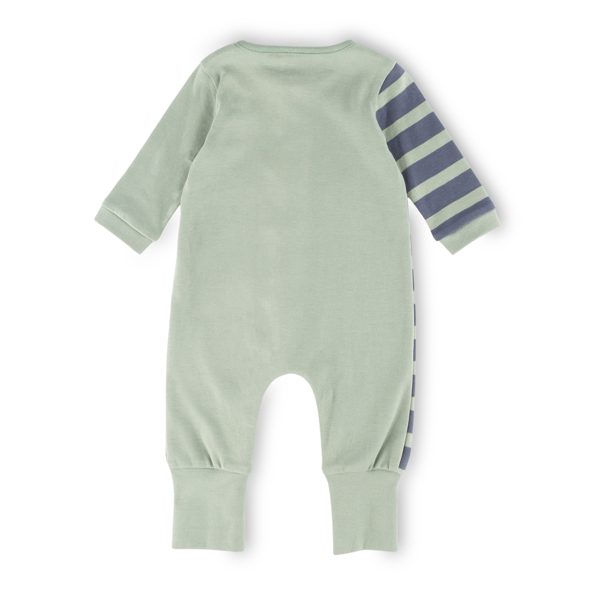 Baby sleepsuit overall chameleon