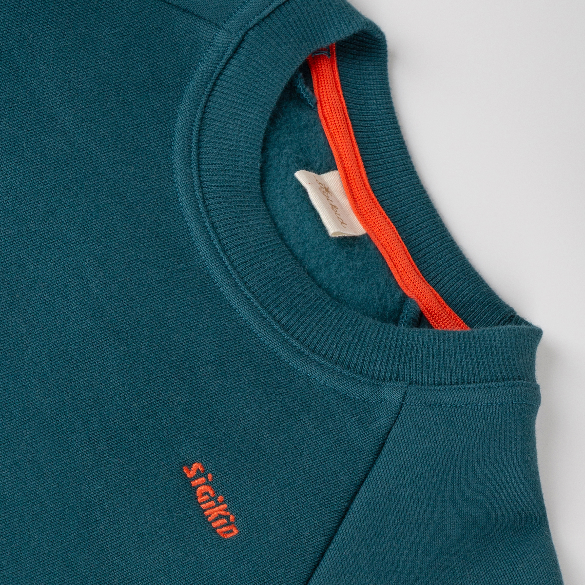 Children's sweatshirt dinosaur, Dino Fun