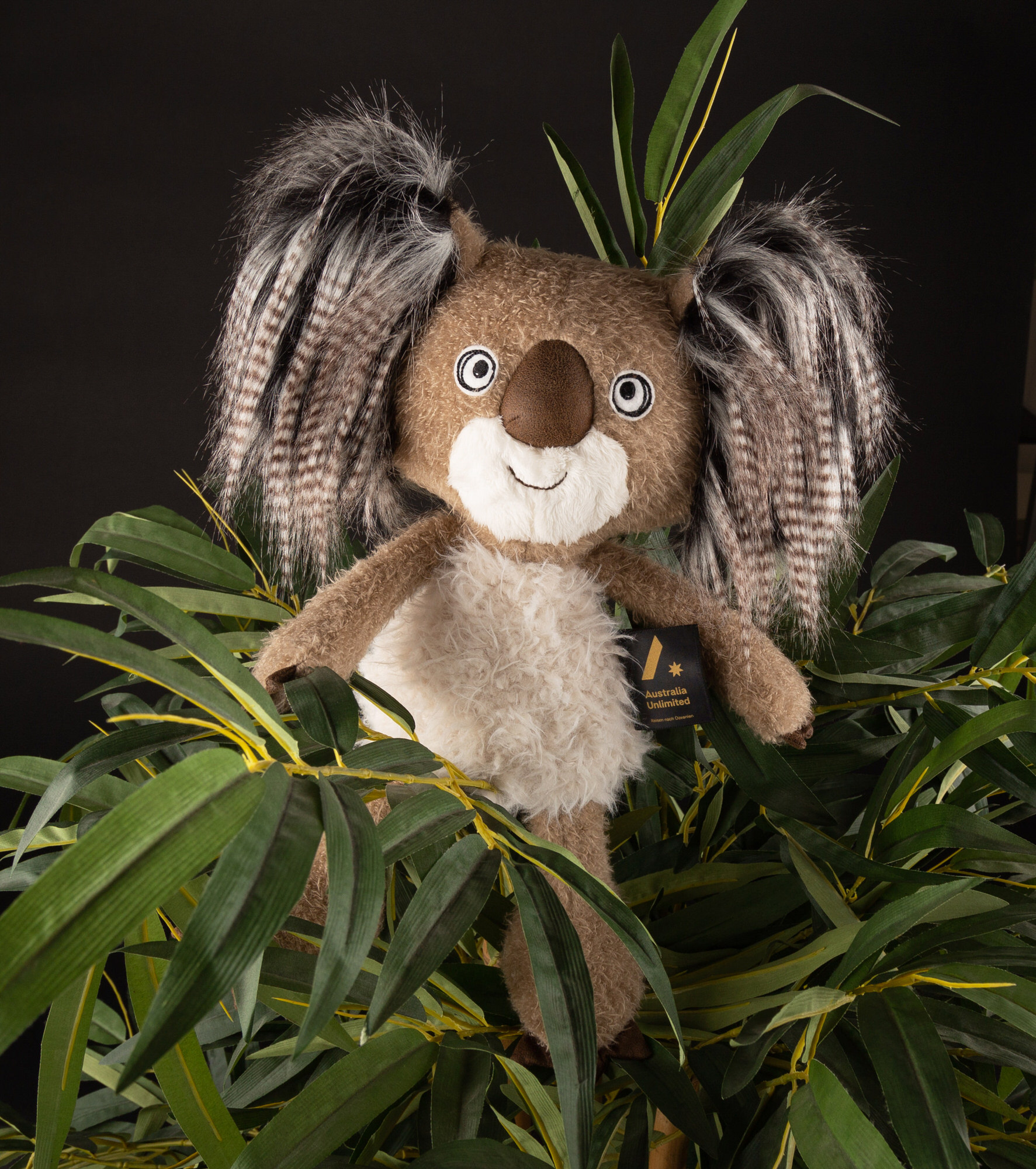 Plush koala bear Down Undy, Beasts Australia Edition Plush koala bear Down Undy, Beasts Australia Edition