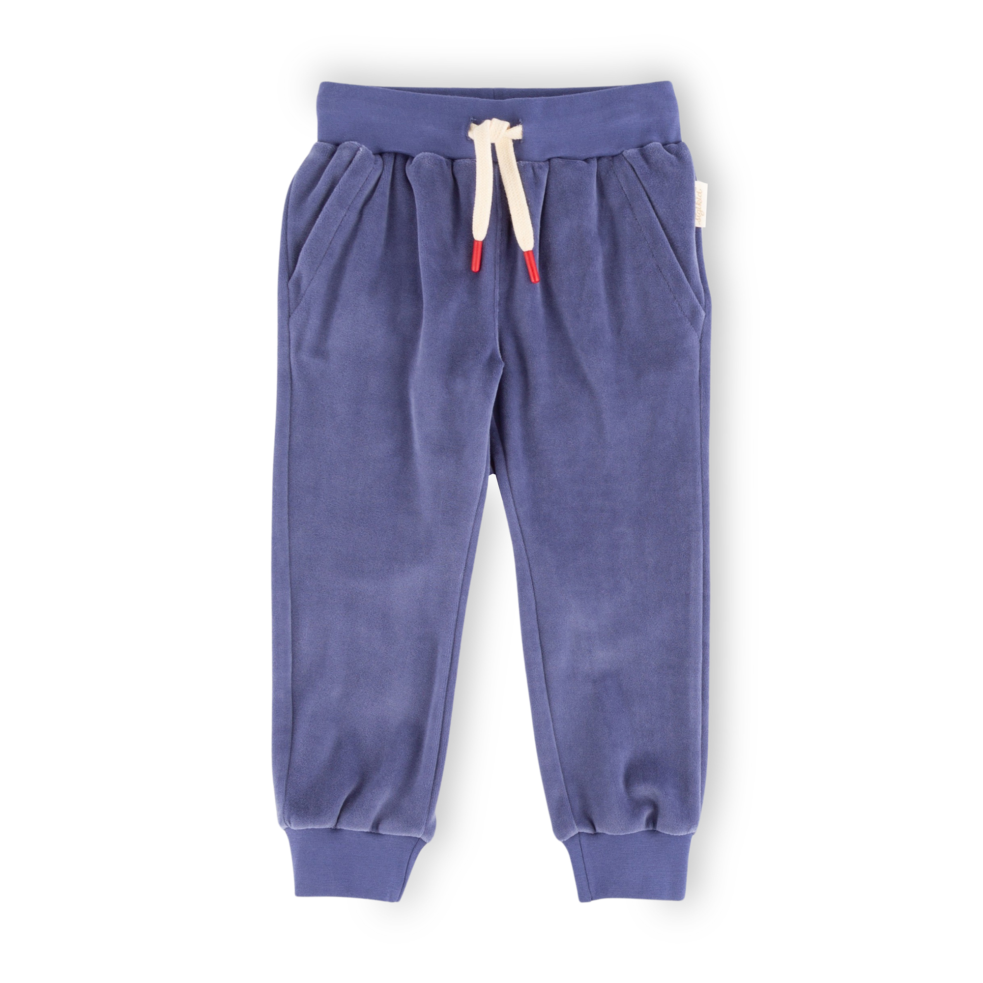 Violet blue Children's velour pants Wild Cat