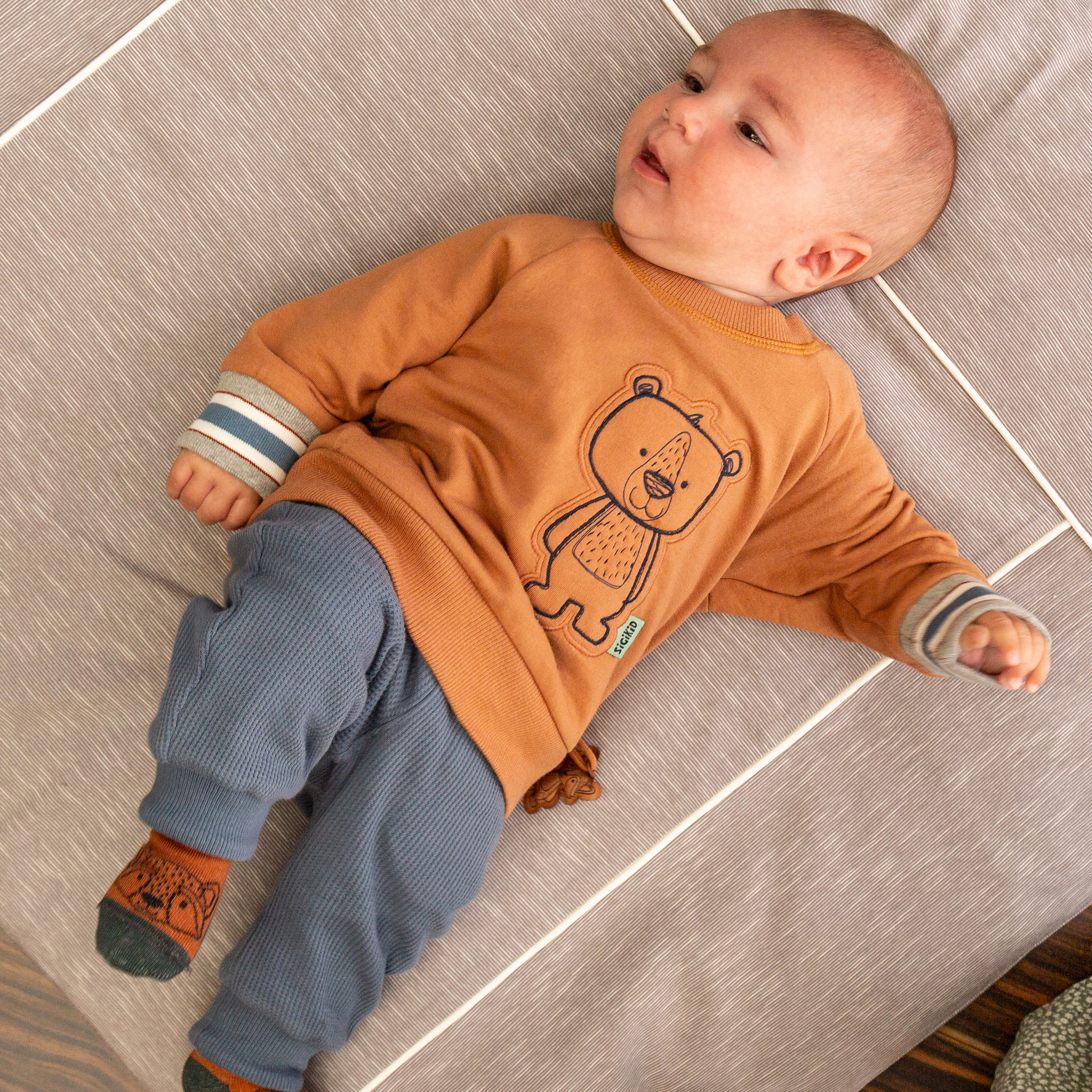 Baby Sweatshirt mit Bären Motiv, braun