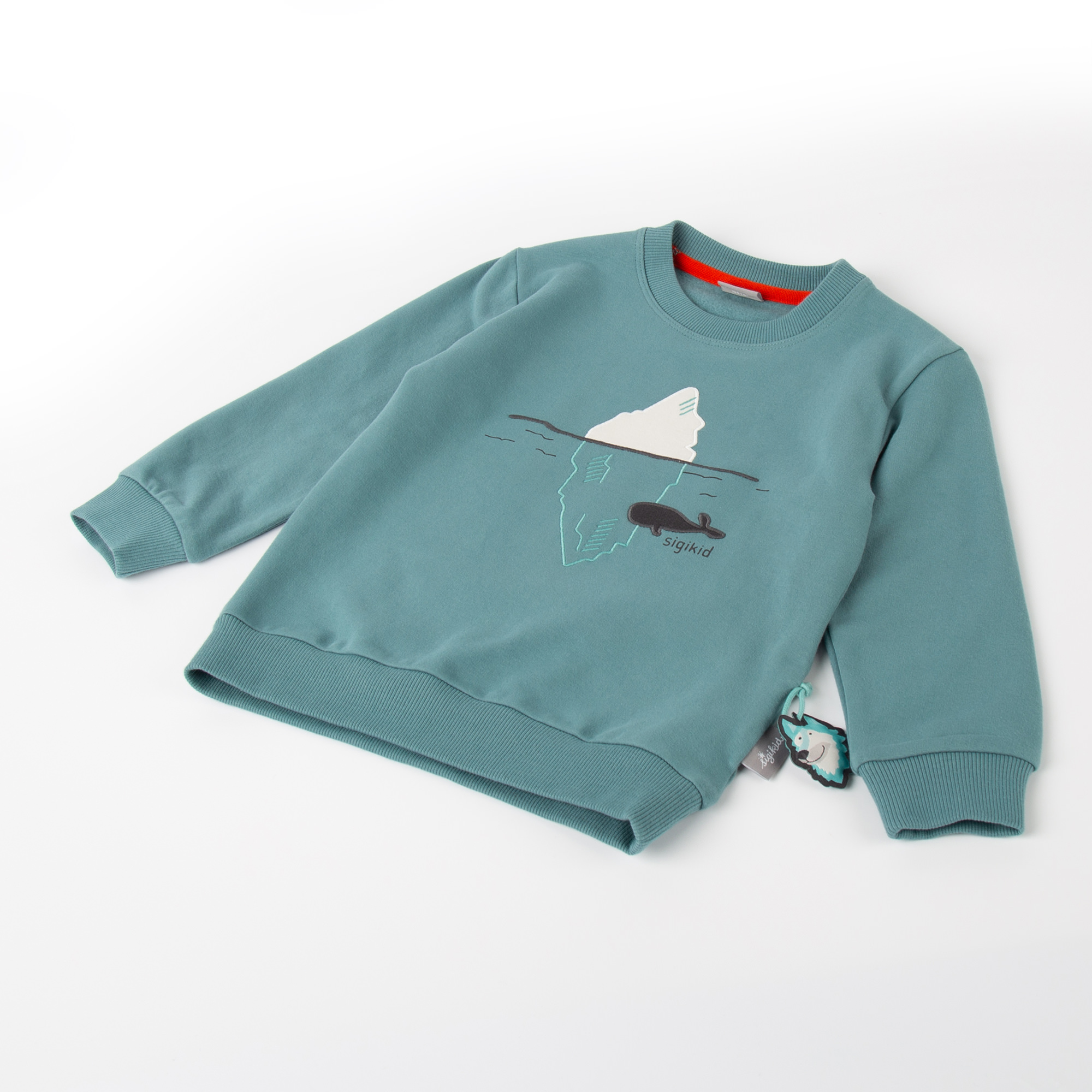 Children's sweatshirt Polar Expedition, jade green