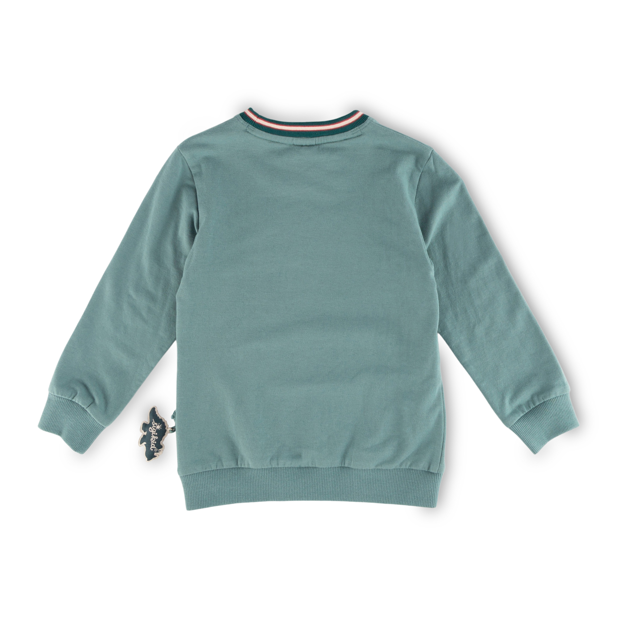 Kinder Sweatshirt Dino grun