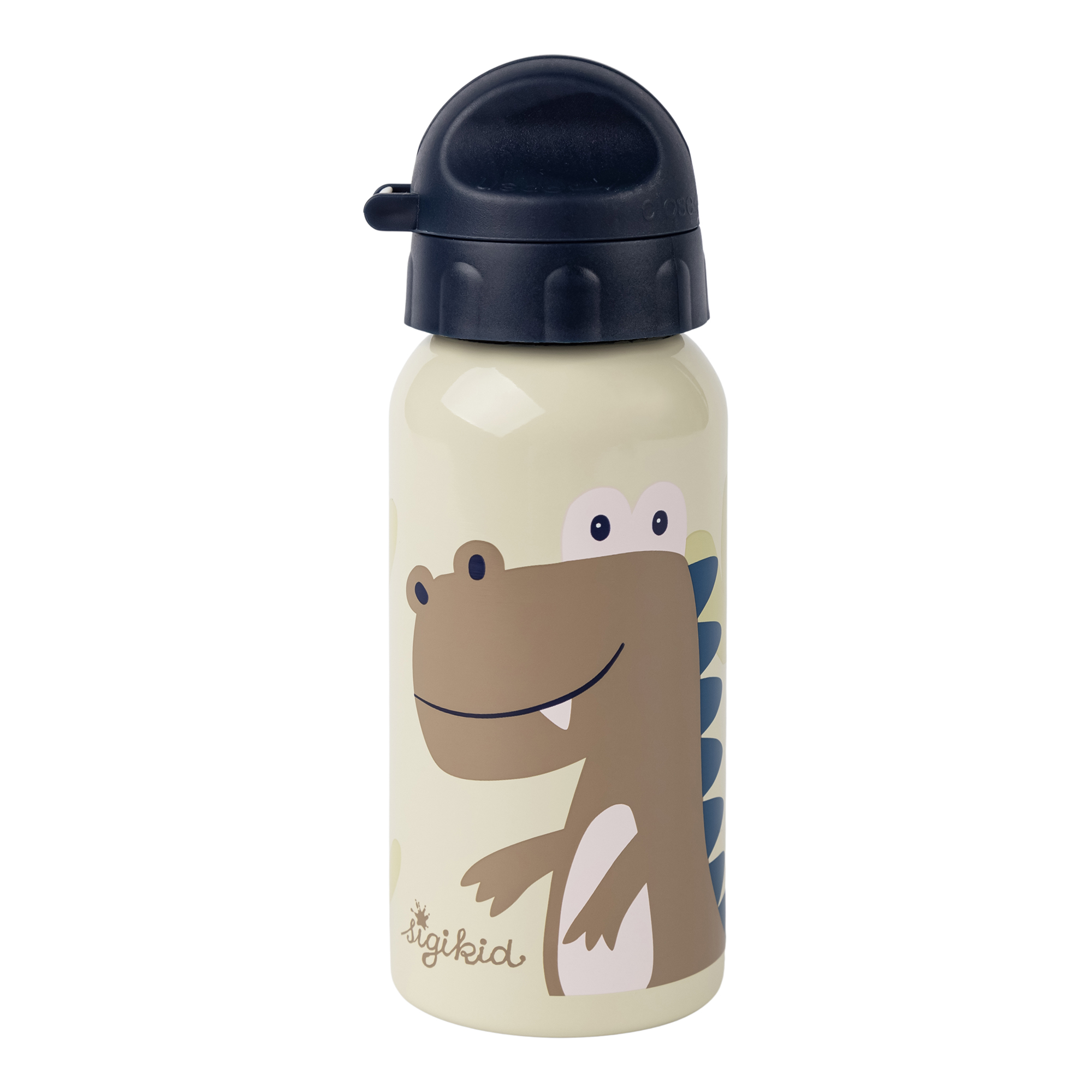 Children's stainless steel bottle 400 ml & lunch box dino