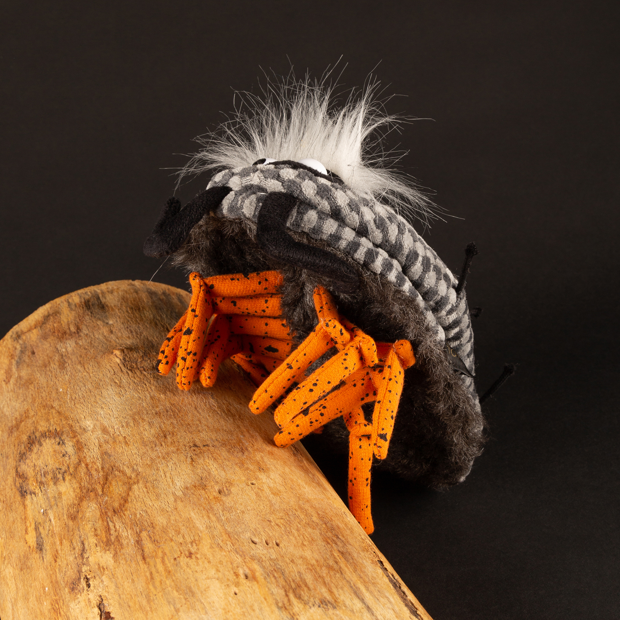 Cuddly bug Kitchen Catch, Beasts Cuddly bug Kitchen Catch, Beasts