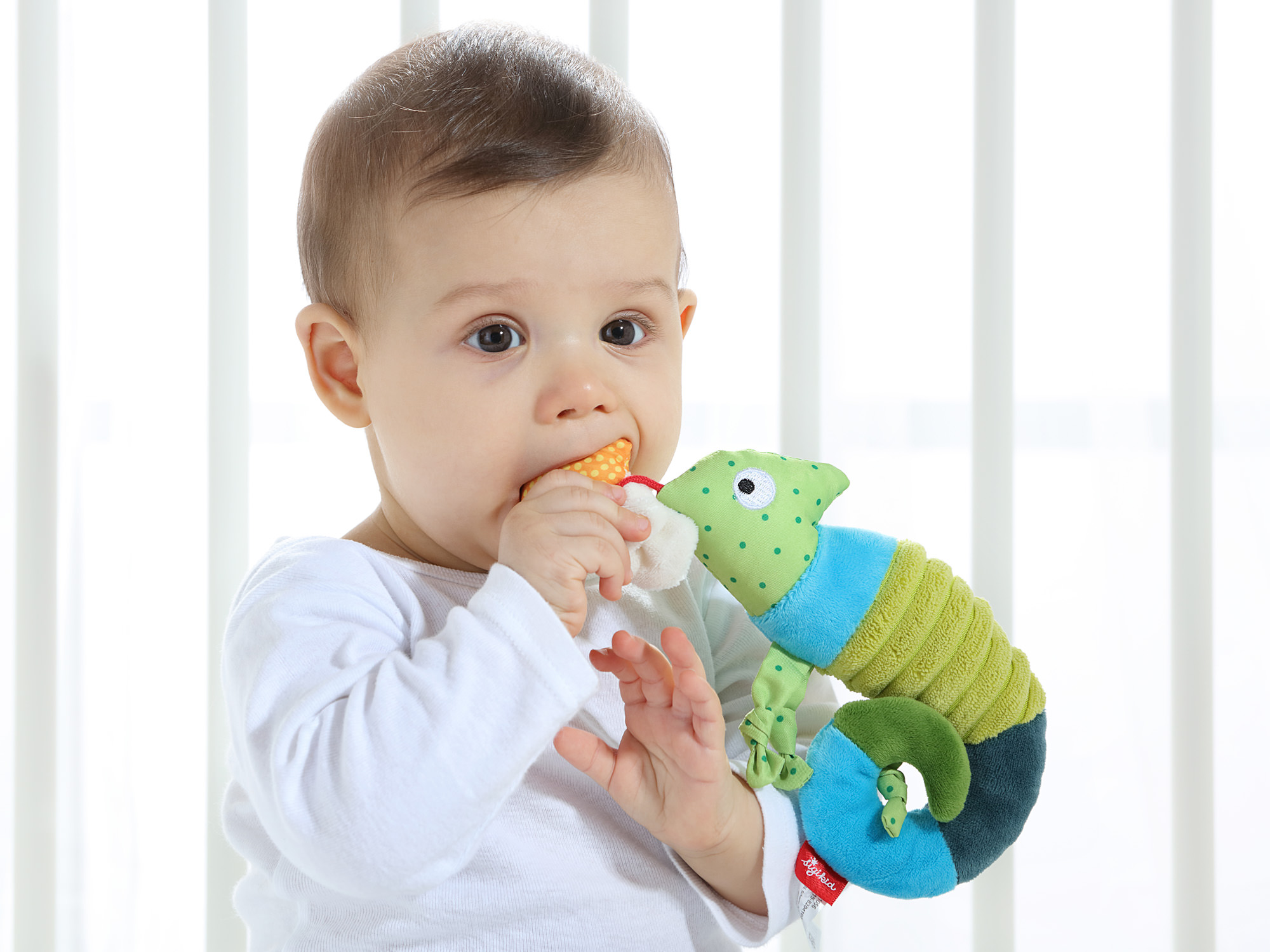 Hanging toy chameleon Hanging toy chameleon