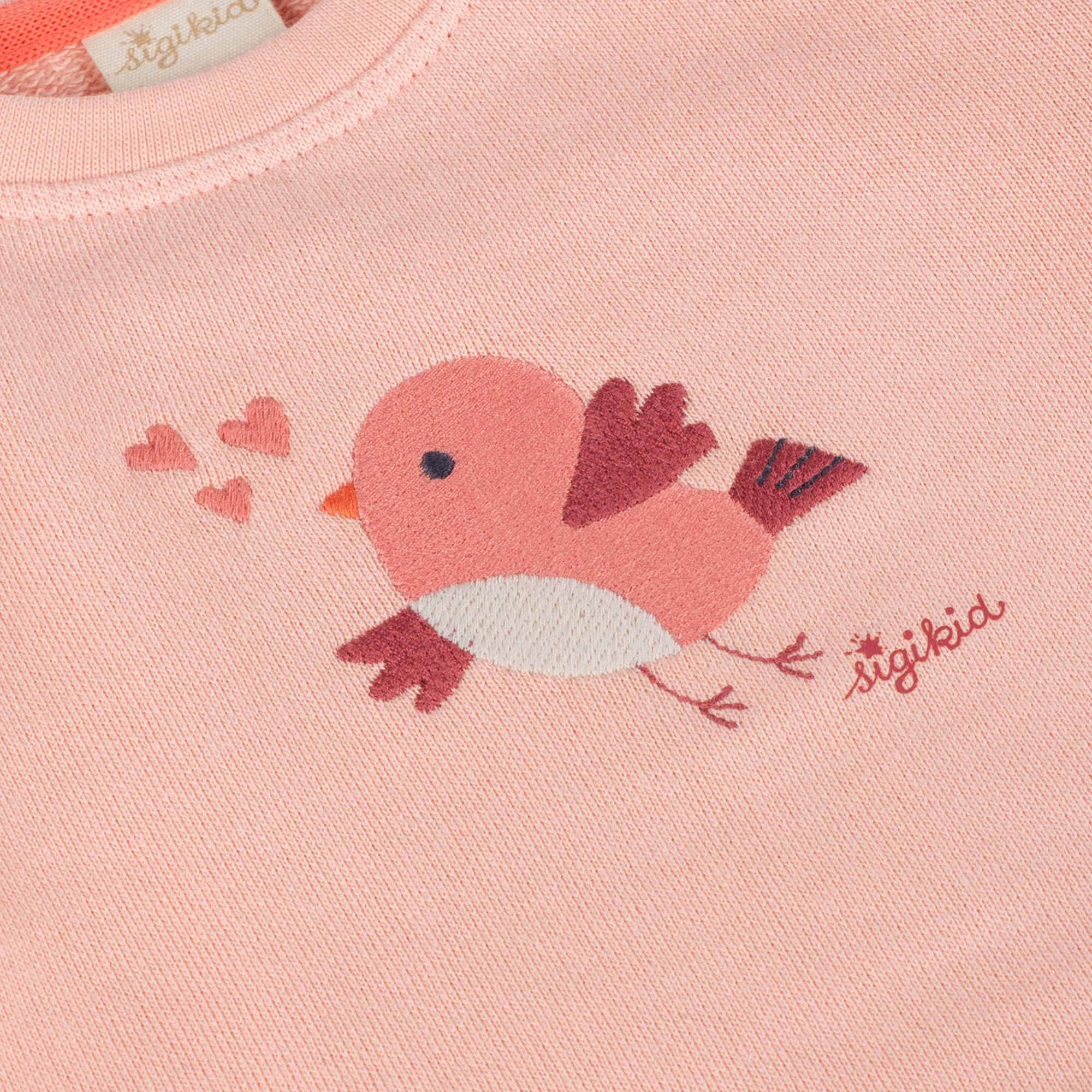 Pale pink baby sweatshirt Spring Birds