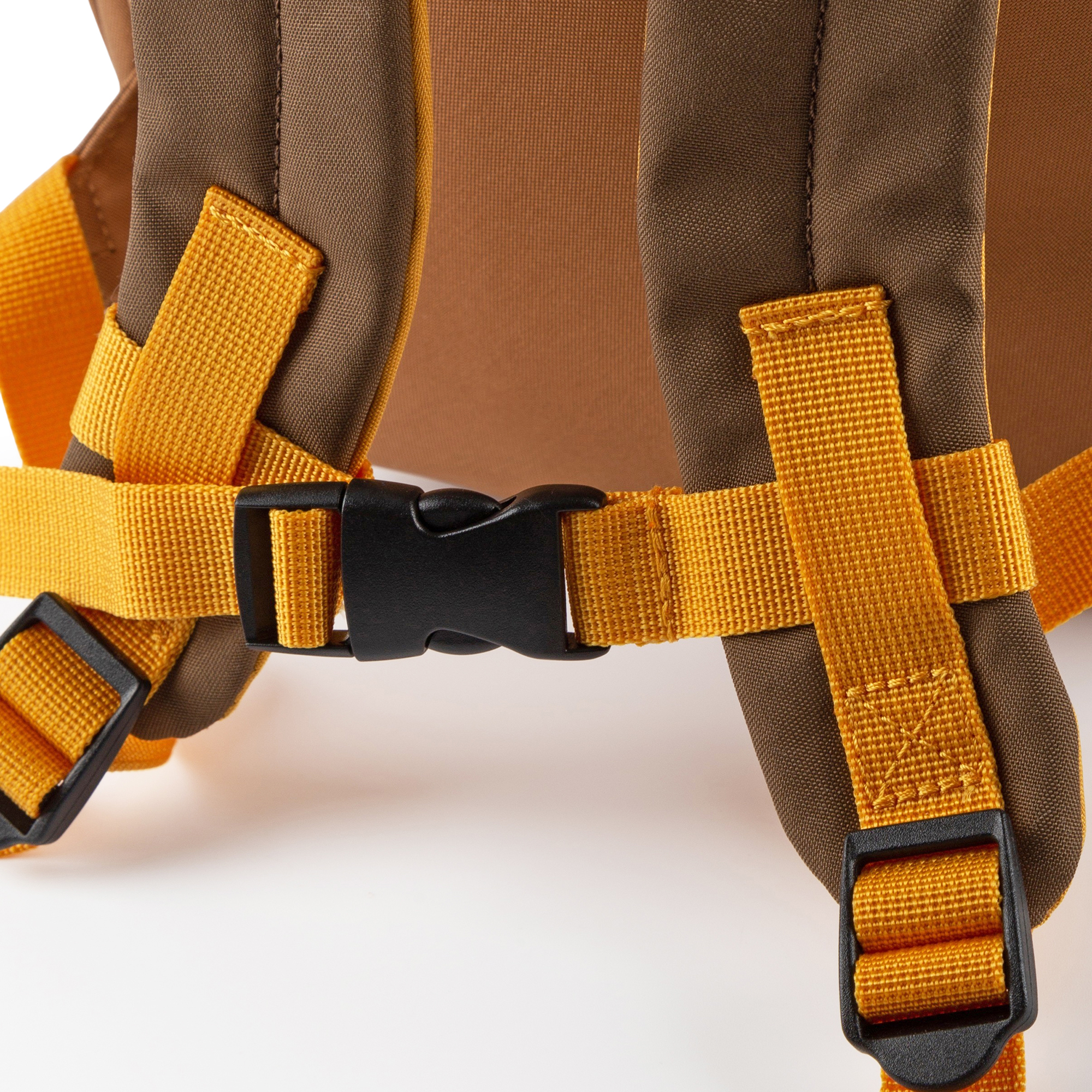 Children's backpack bear