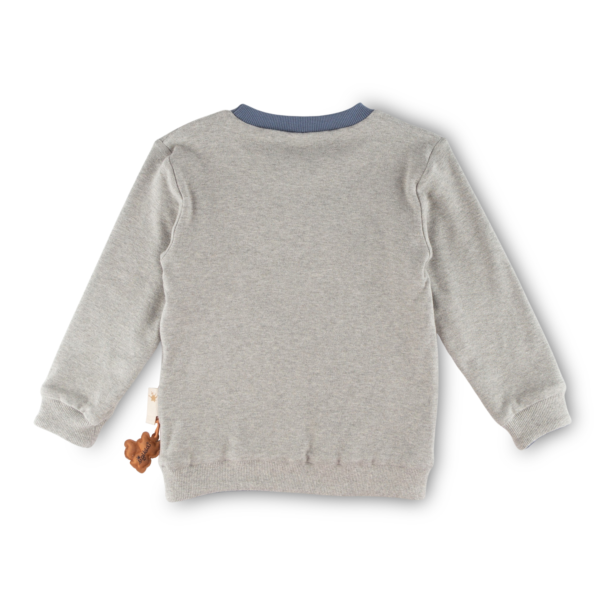 Kinder Langarm Wendeshirt Forest Adventure, blau oder grau